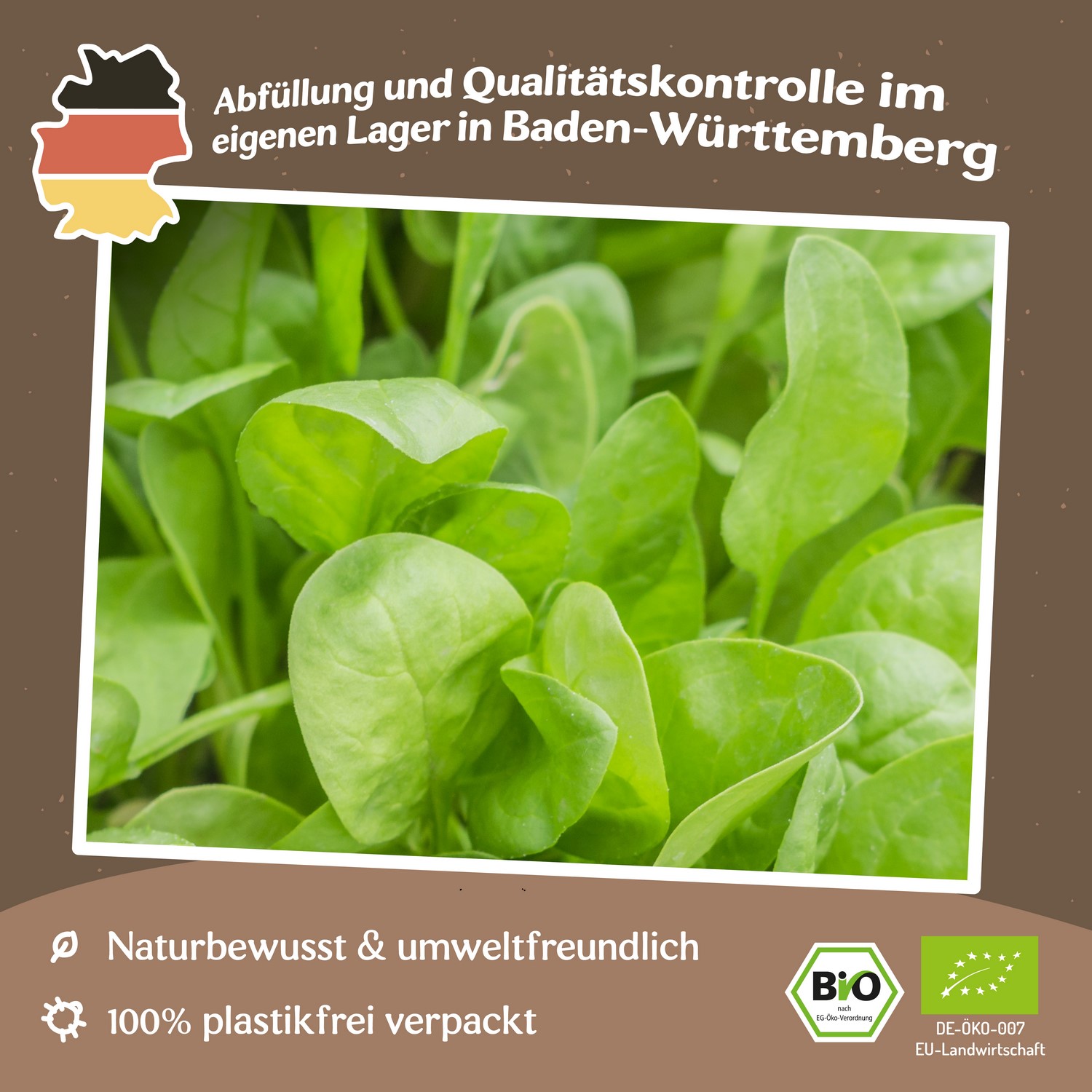 Bio-Spinat Winterriesen Samen 