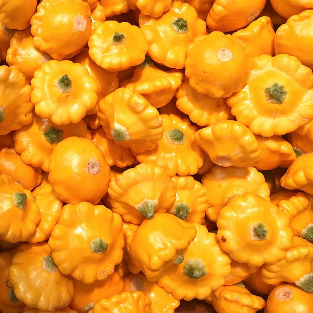 Patisson orange Kürbis Samen für ca. 10 Pflanzen