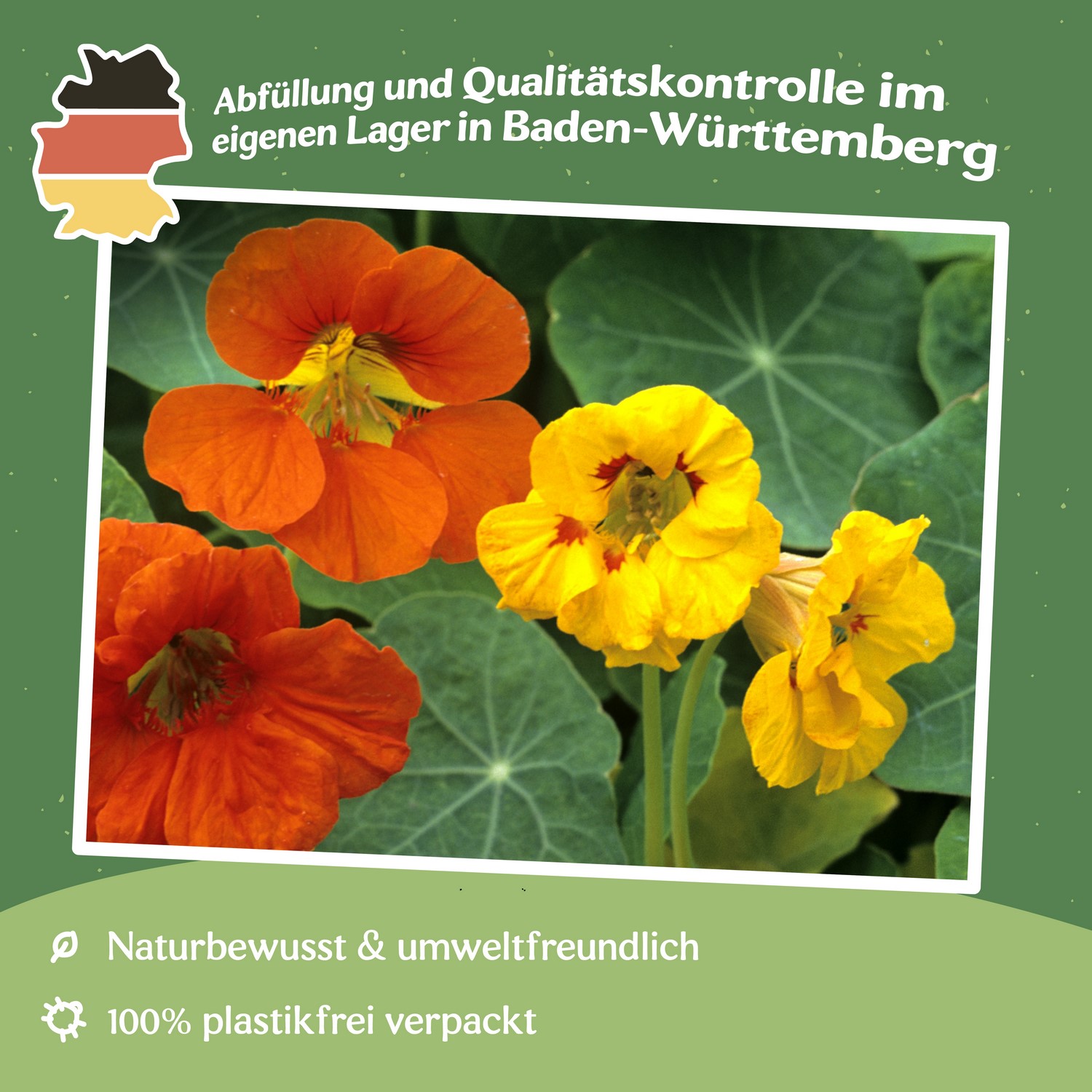 Kapuzinerkresse Samen rankender Mix