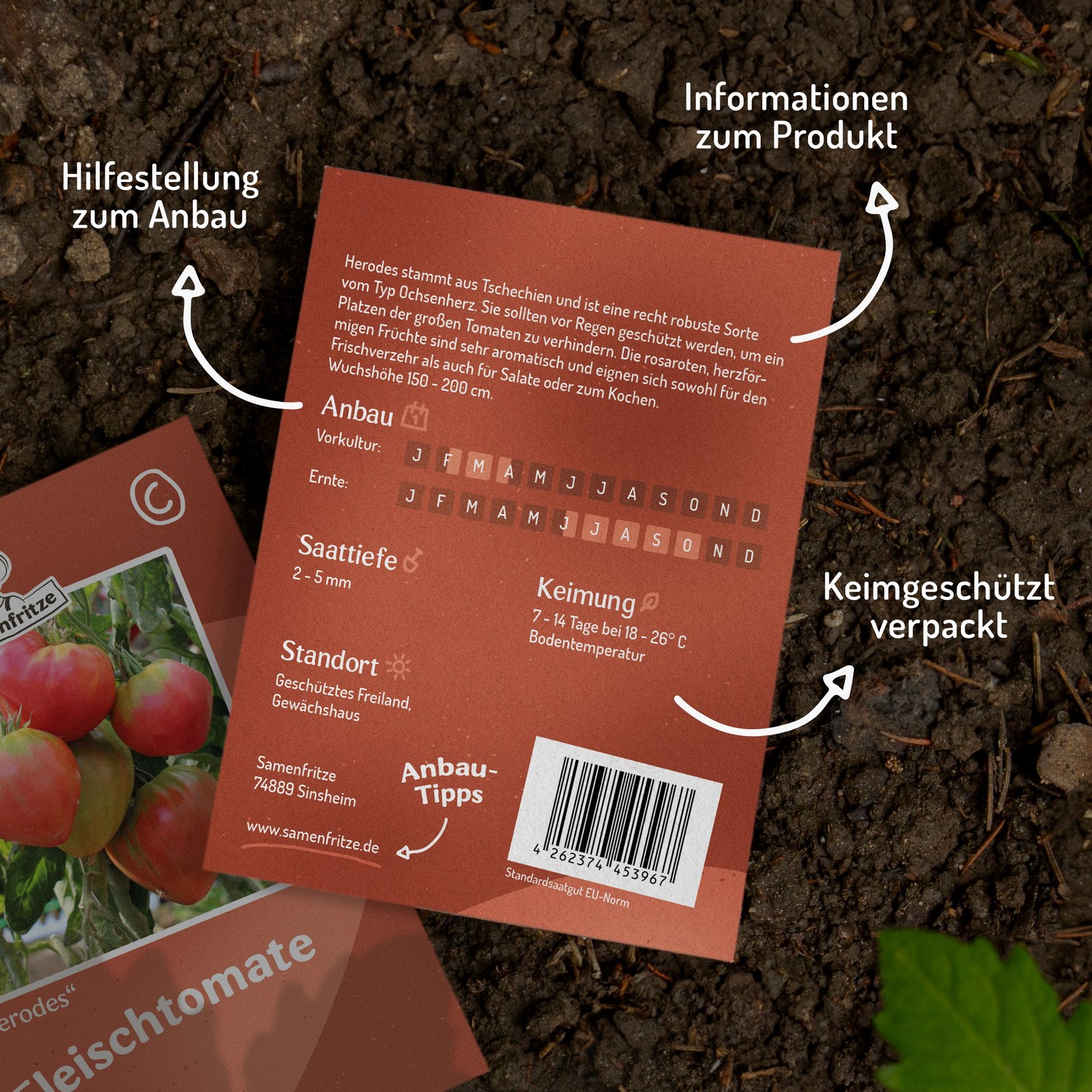 Herodes Tomatensamen