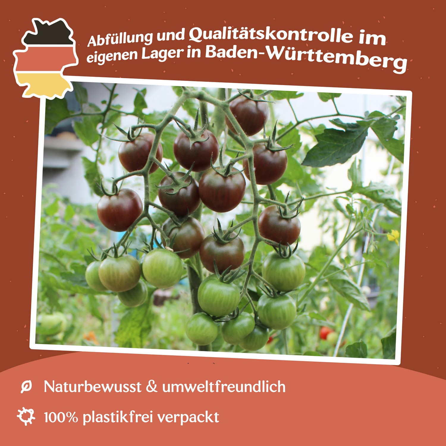 Heartbreaker Vita F1 Tomatensamen