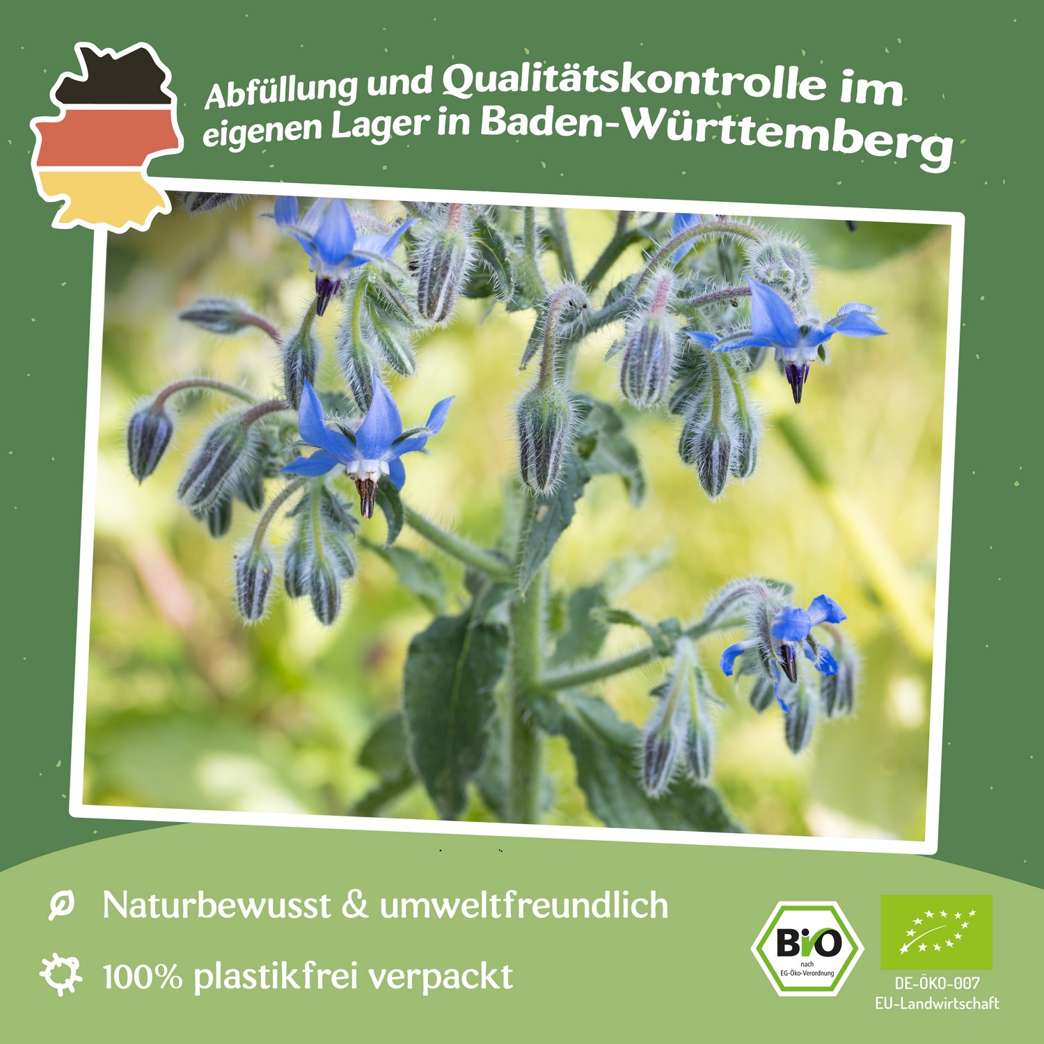 Bio-Borretsch (Gurkenkraut) Samen 