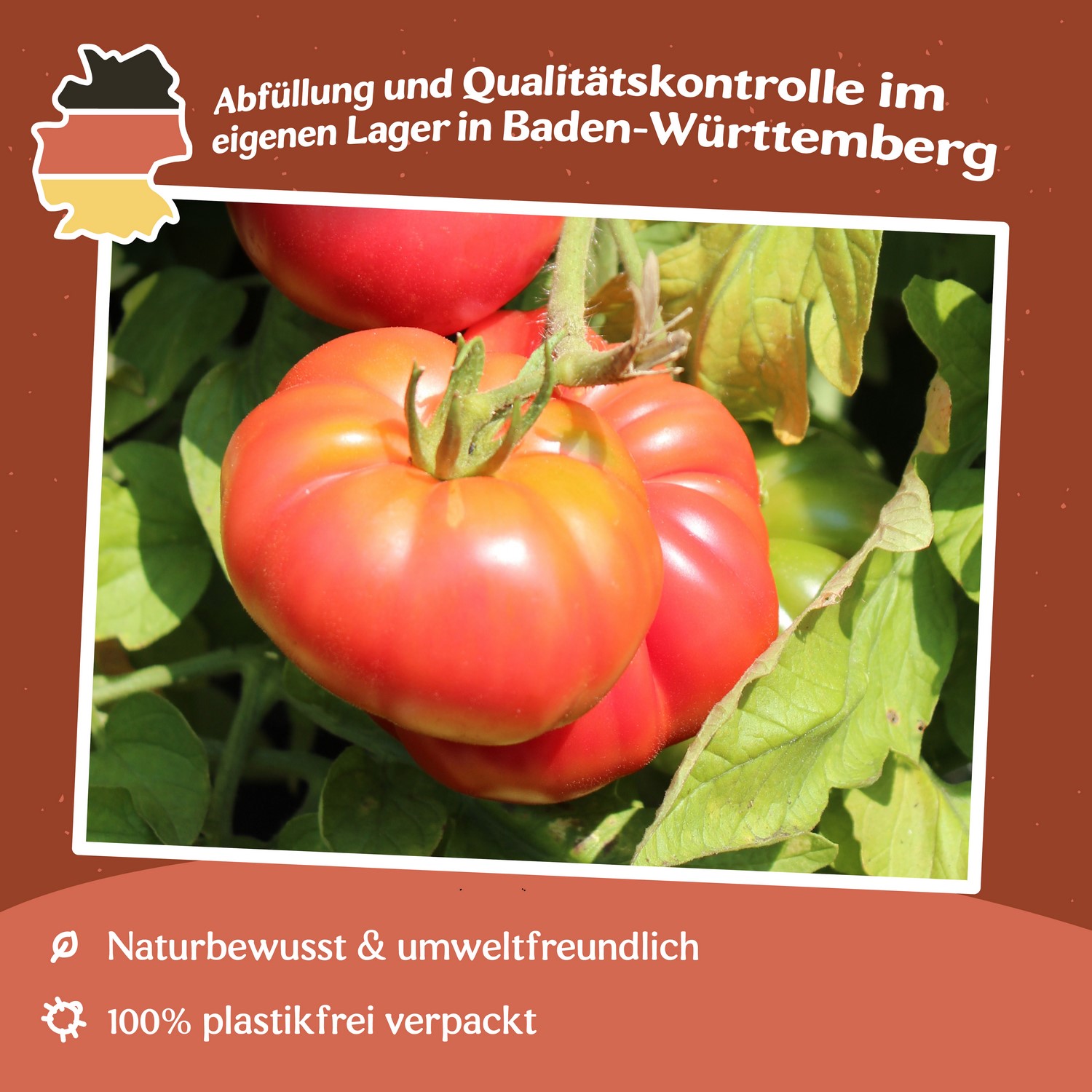 Rose Crush F1 Tomatensamen