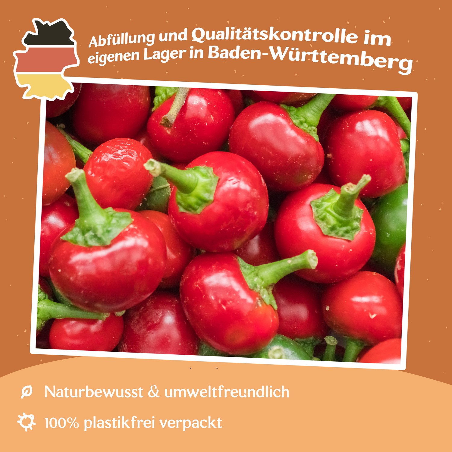 Chili Koral/Ciliegia piccante Samen