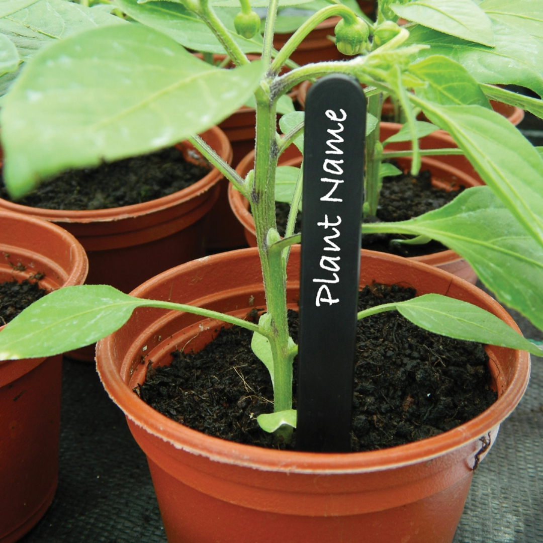 10 cm Pflanzetiketten – 50 Stück, robuste Pflanzenmarker für Garten & Gewächshaus, ideal zum Stecken oder Binden, langlebig & beschriftbar
