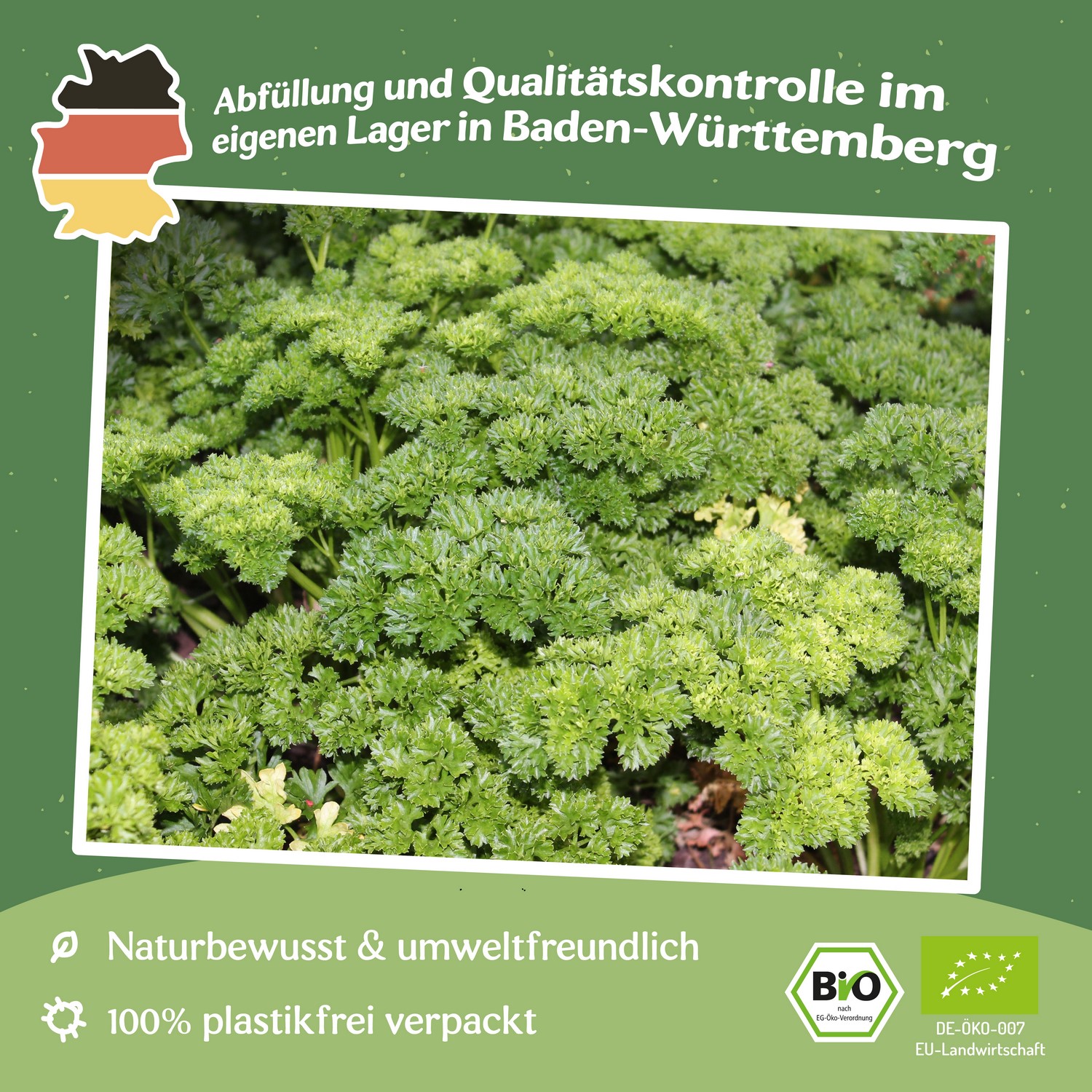 Bio-Petersilie Mooskrause 2 Samen 