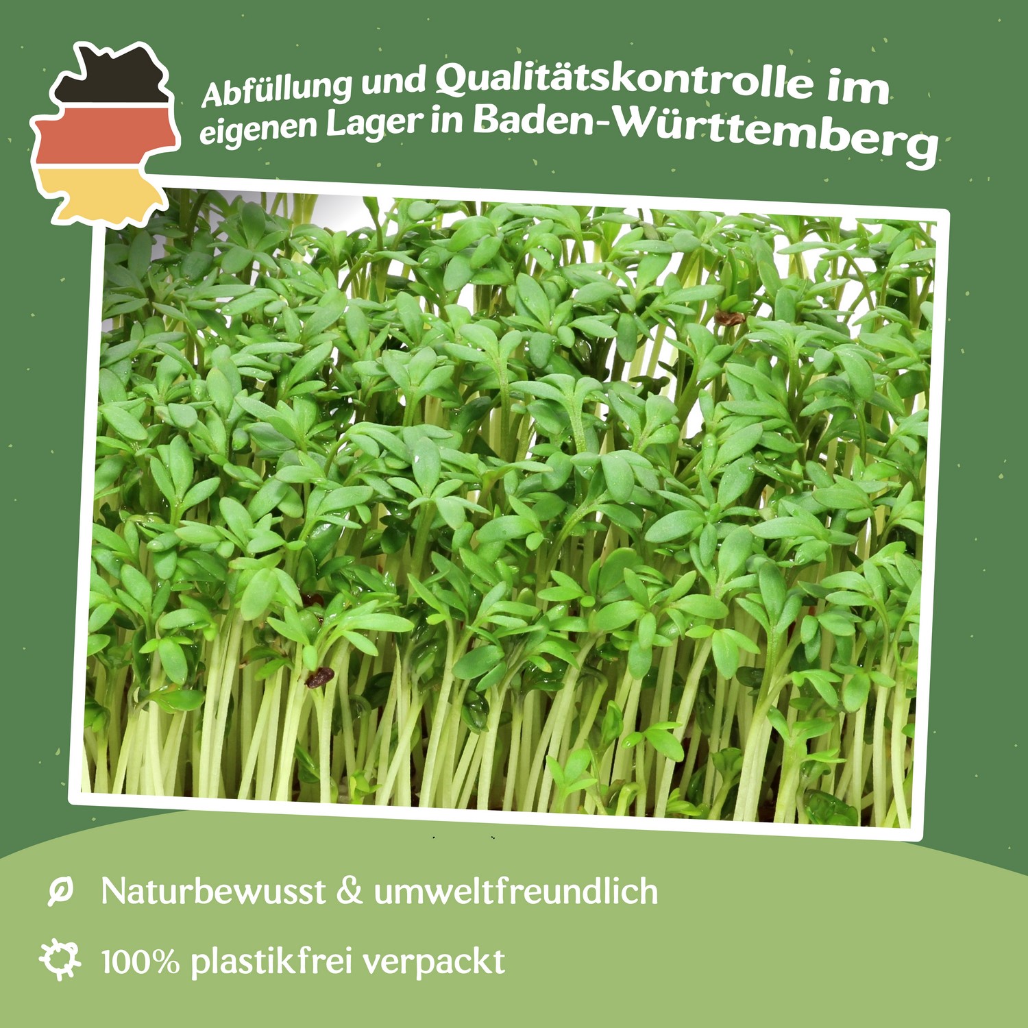 Gartenkresse Samen