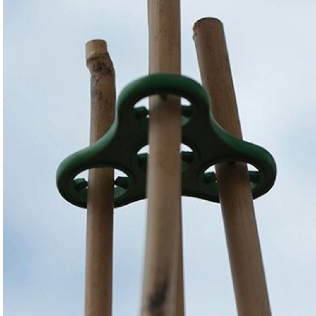 Plant Halos 3er-Set – Wasserspeicher & Stützhilfe für Tomaten, Paprika & Bohnen, 3,1-Liter-Wasserspeicher, aus 100 % recyceltem Kunststoff