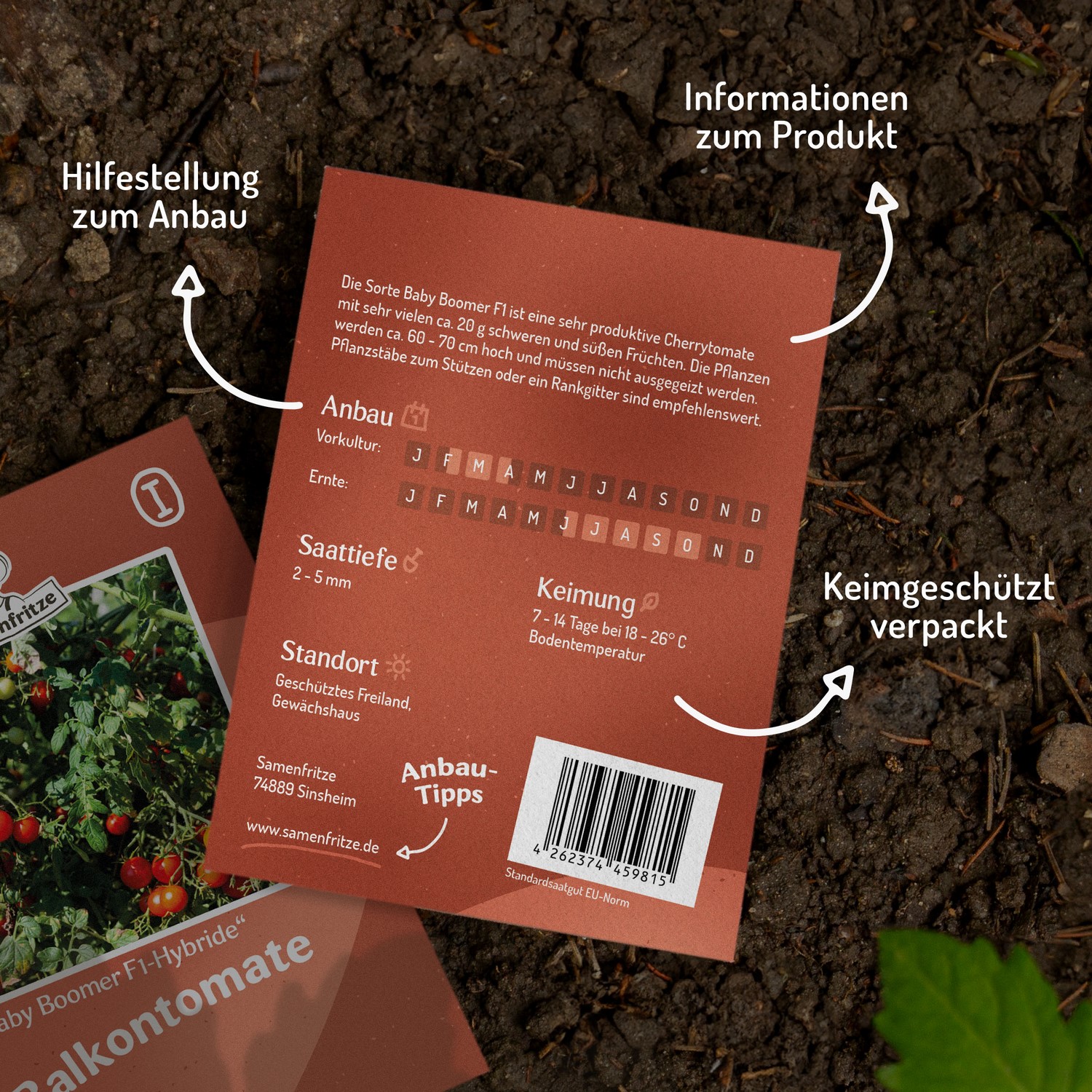 Baby Boomer F1 Tomatensamen