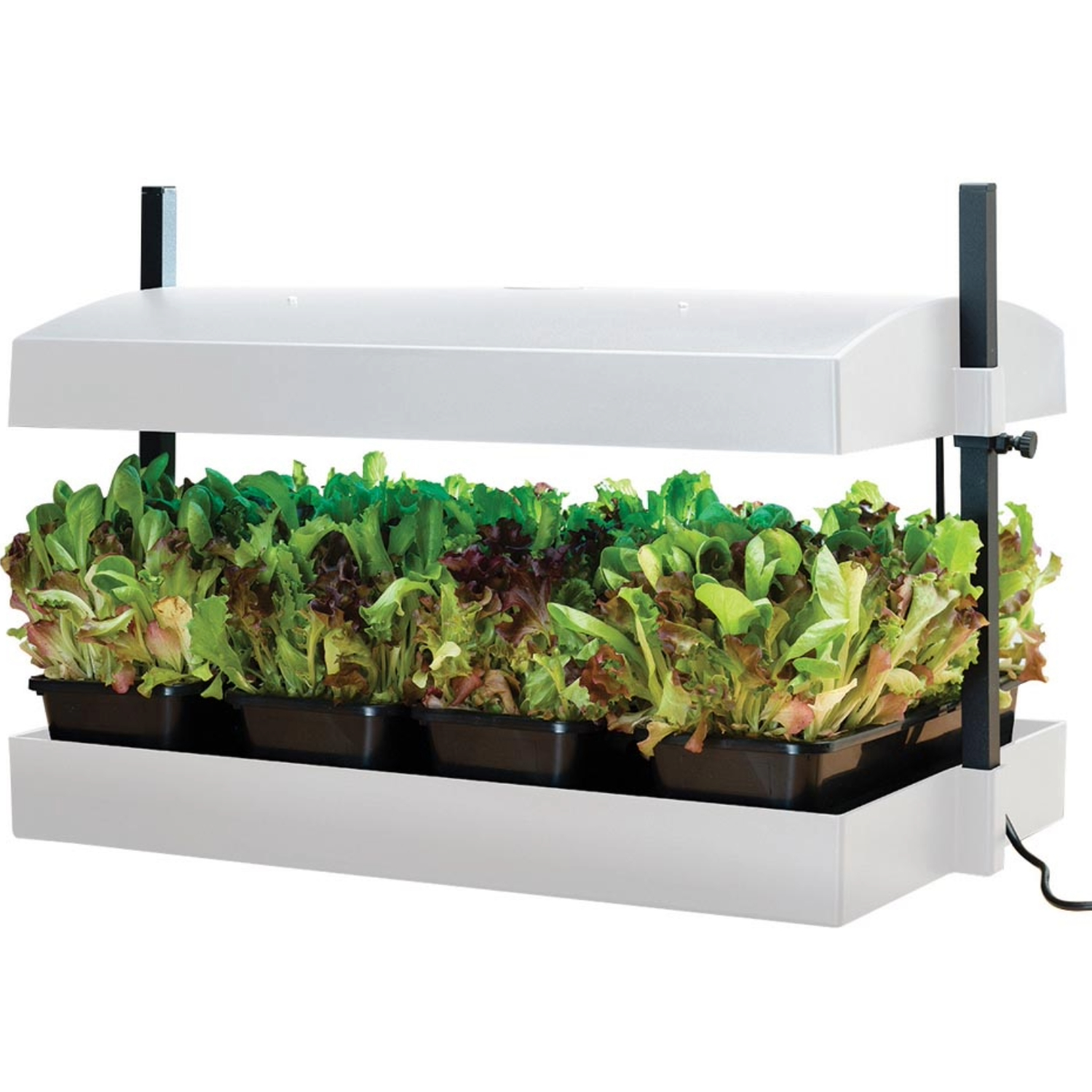 Küchengarten LED Weiß – 32-Watt LED Vollspektrum-Licht, Selbstbewässerungssystem, Perfekt für Kräuter, Salate & Zimmerpflanzen, 62 x 40 x 47 cm