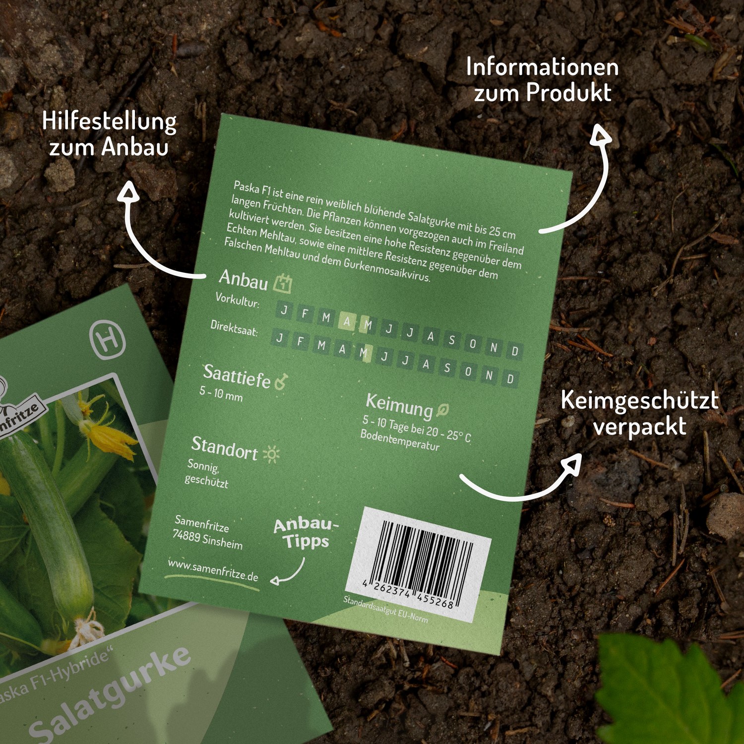 Salatgurke Paska F1 Samen