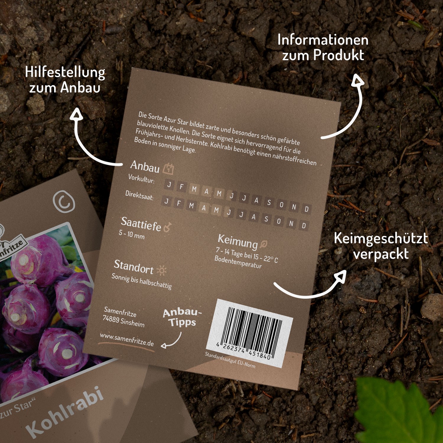 Bio-Kohlrabi Purple Vienna Samen 
