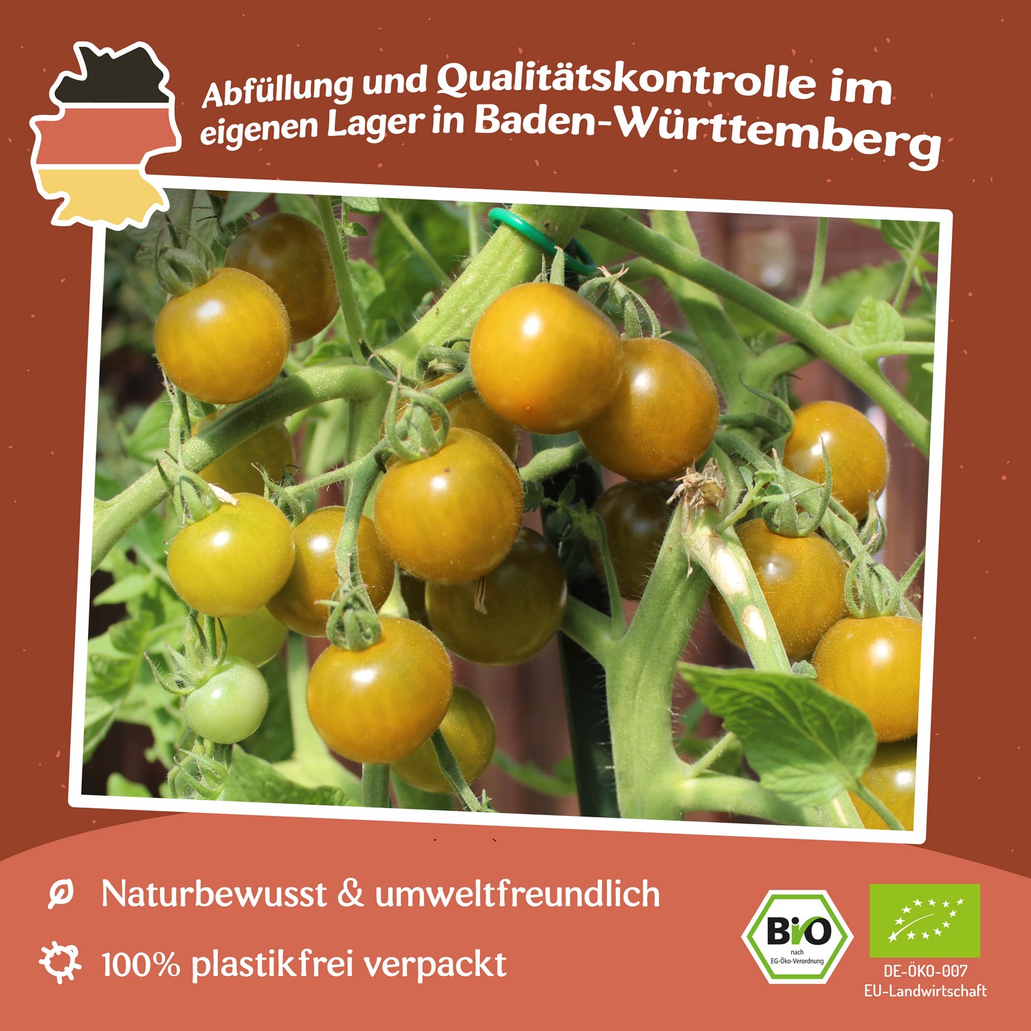 Green Doctor‘s Frosted Bio-Tomatensamen
