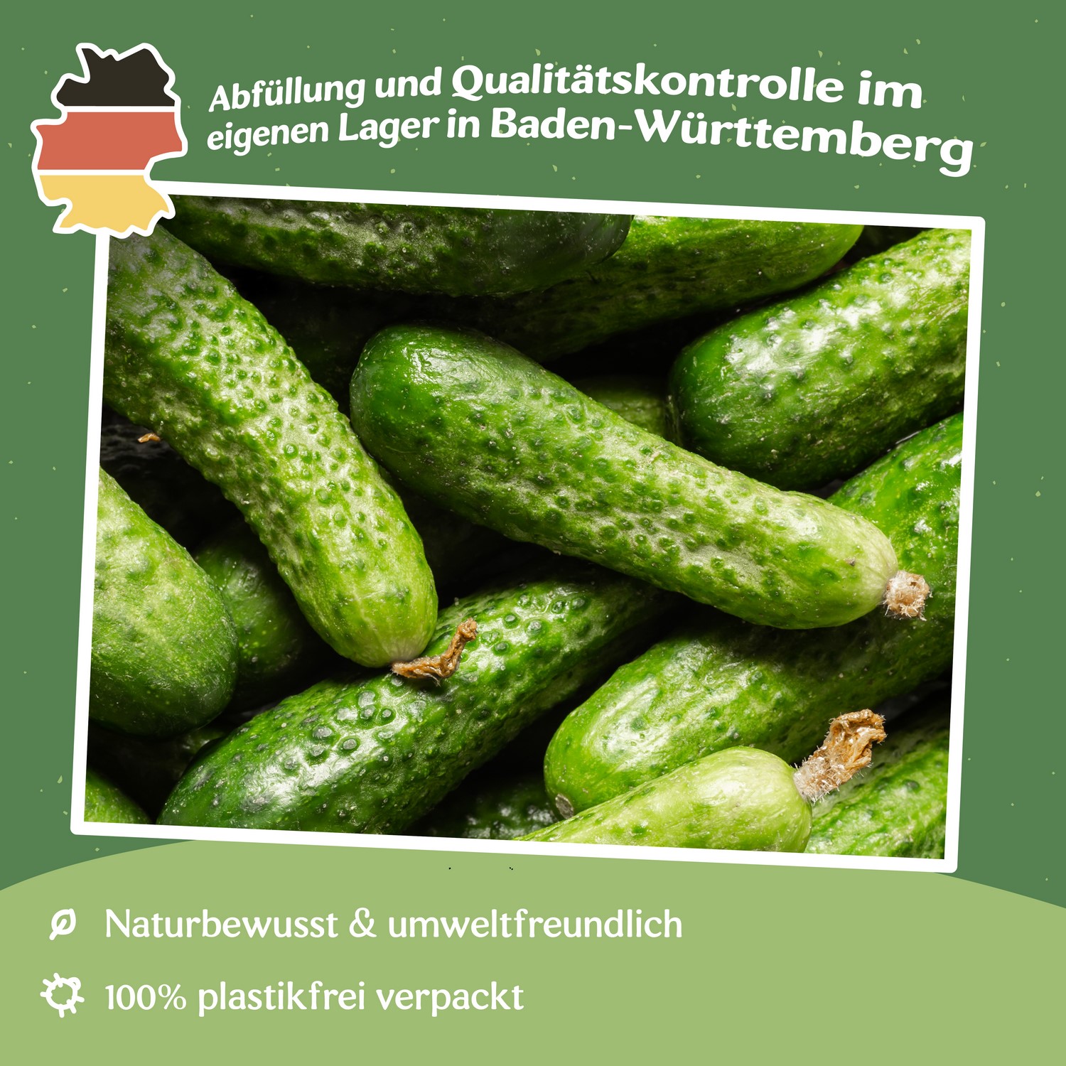 Einlegegurke Diamant F1 Samen