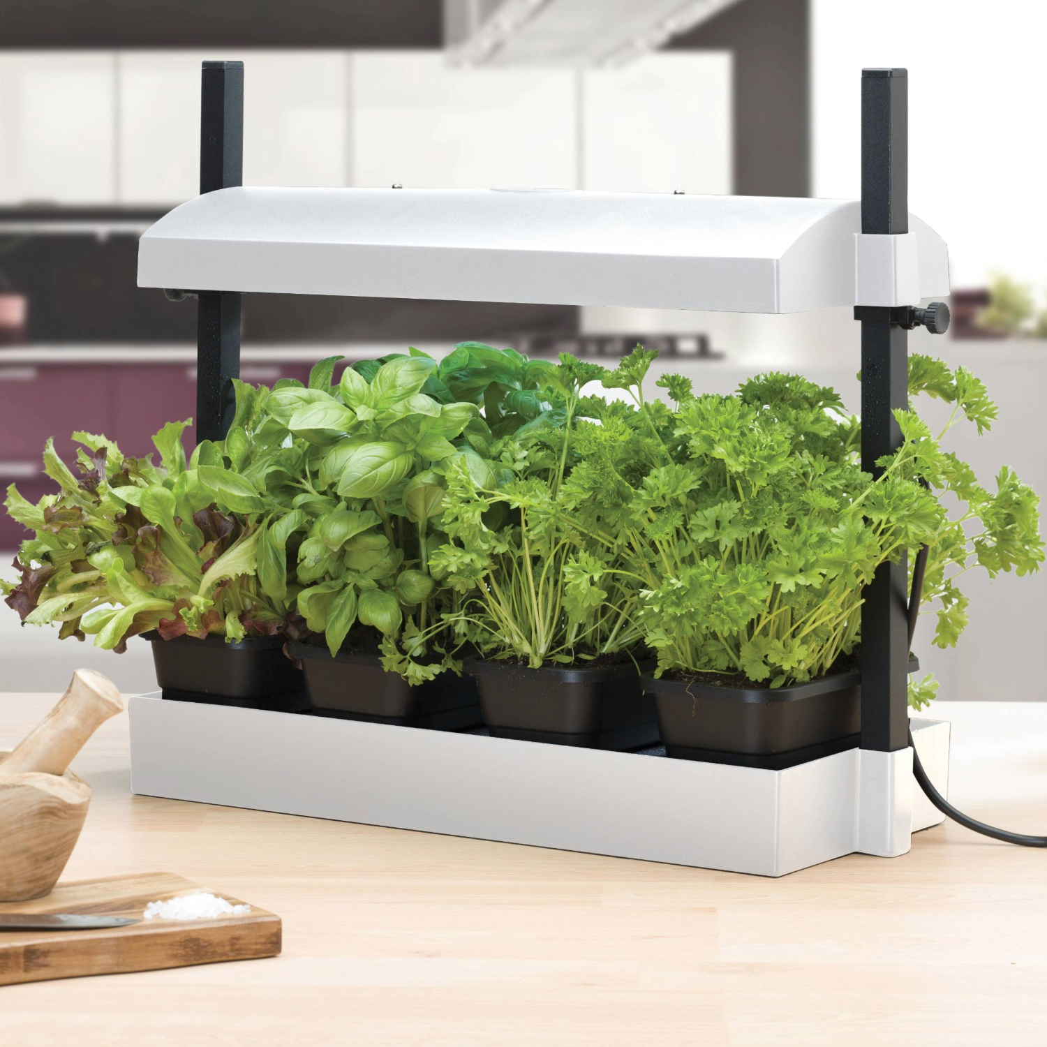Micro Küchengarten LED Weiß – 8-Watt LED Vollspektrum-Licht, Selbstbewässerungssystem, Perfekt für Kräuter, Salate & Zimmerpflanzen, 50 x 20 x 45 cm
