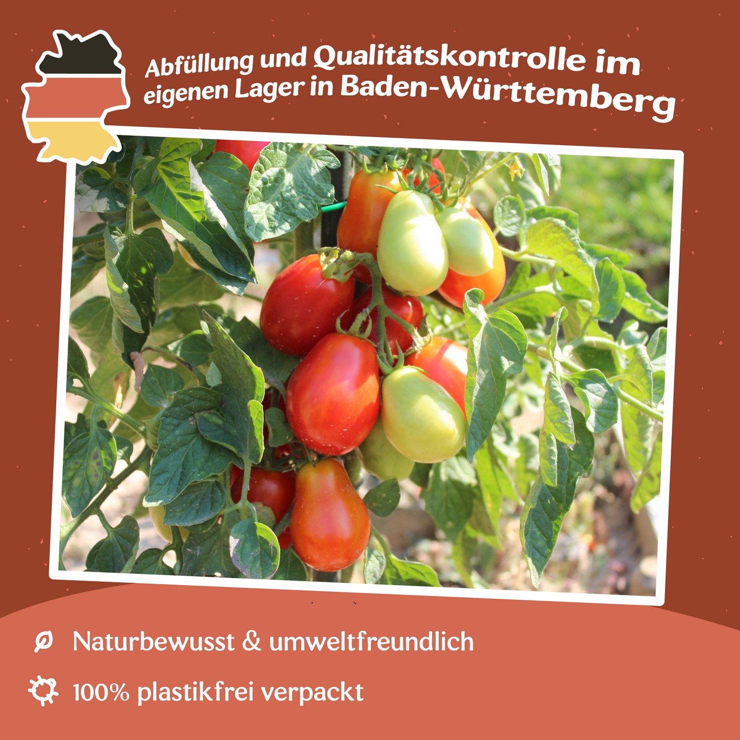Roma VF Tomatensamen