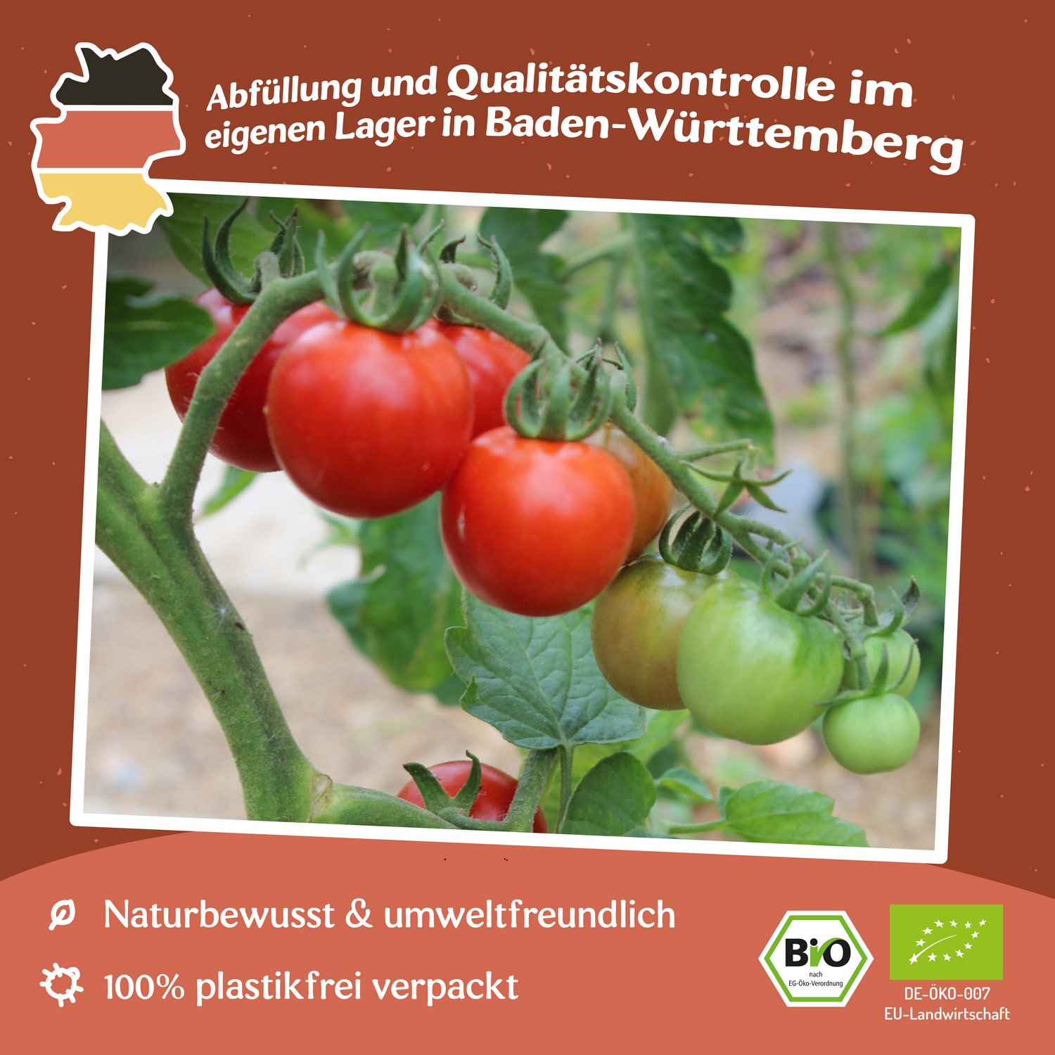 Gardener´s Delight Bio-Tomatensamen