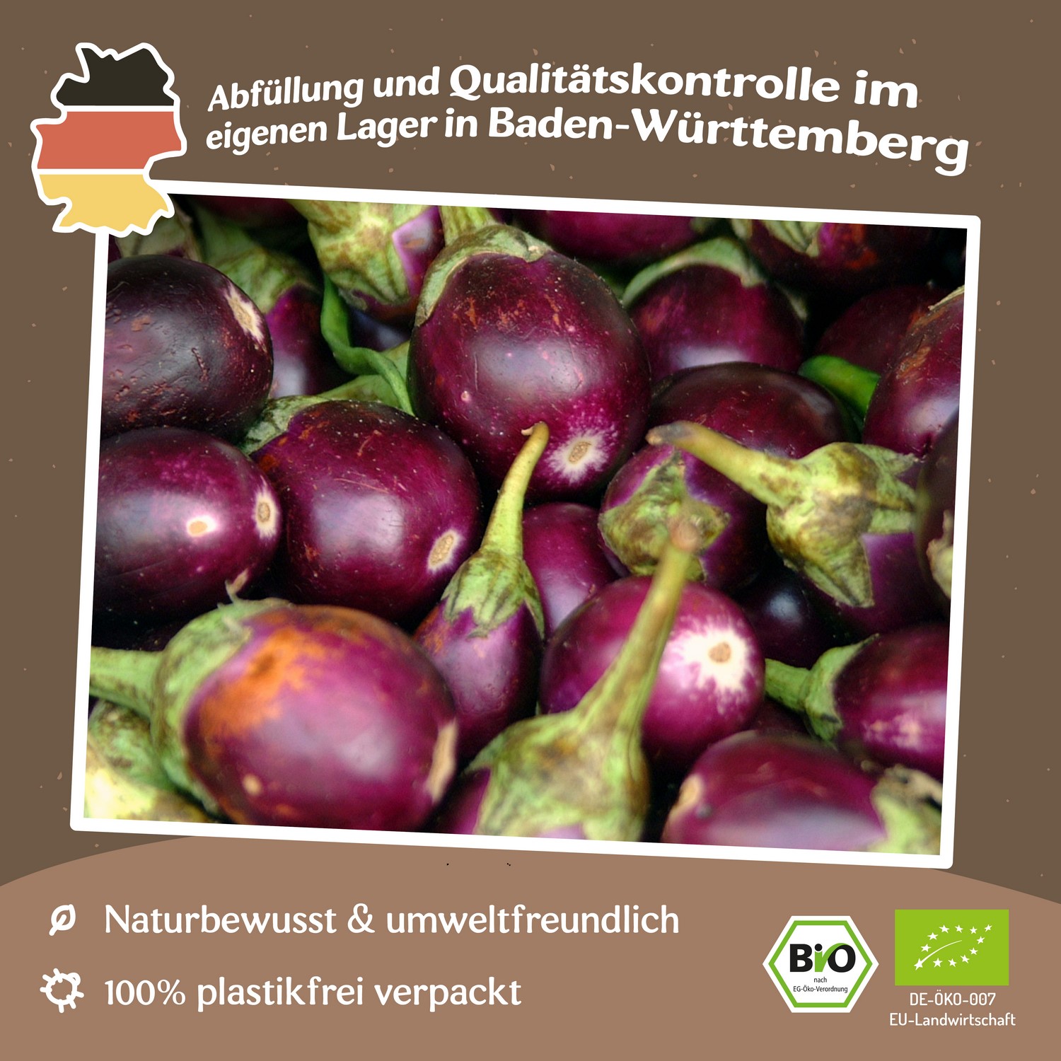 Bio-Aubergine Bambino Samen