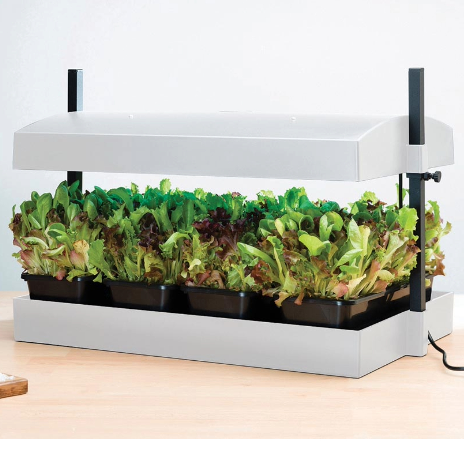Küchengarten LED Weiß – 32-Watt LED Vollspektrum-Licht, Selbstbewässerungssystem, Perfekt für Kräuter, Salate & Zimmerpflanzen, 62 x 40 x 47 cm