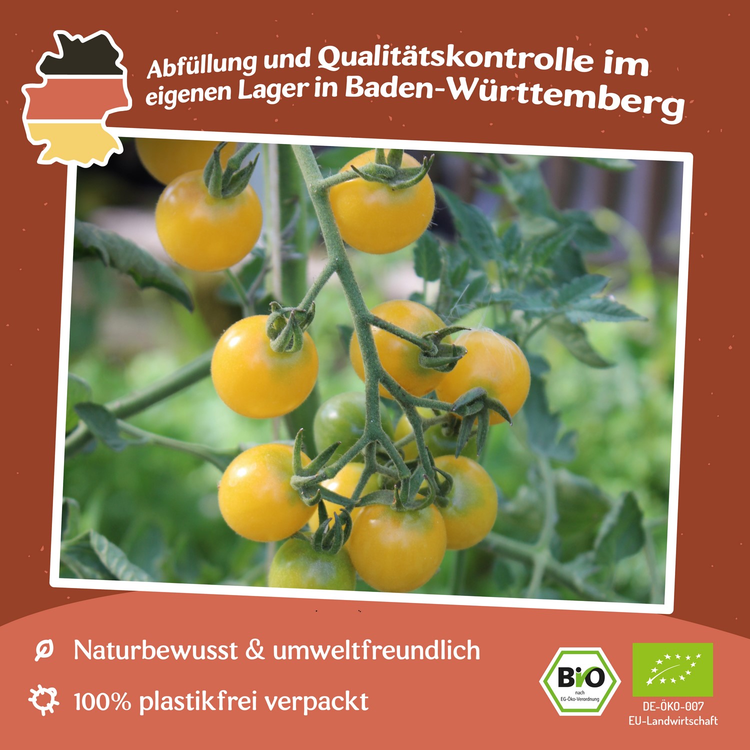 Cerise gelb Bio-Tomatensamen