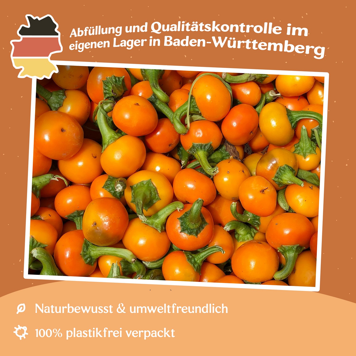 Chili Orange Koral Samen