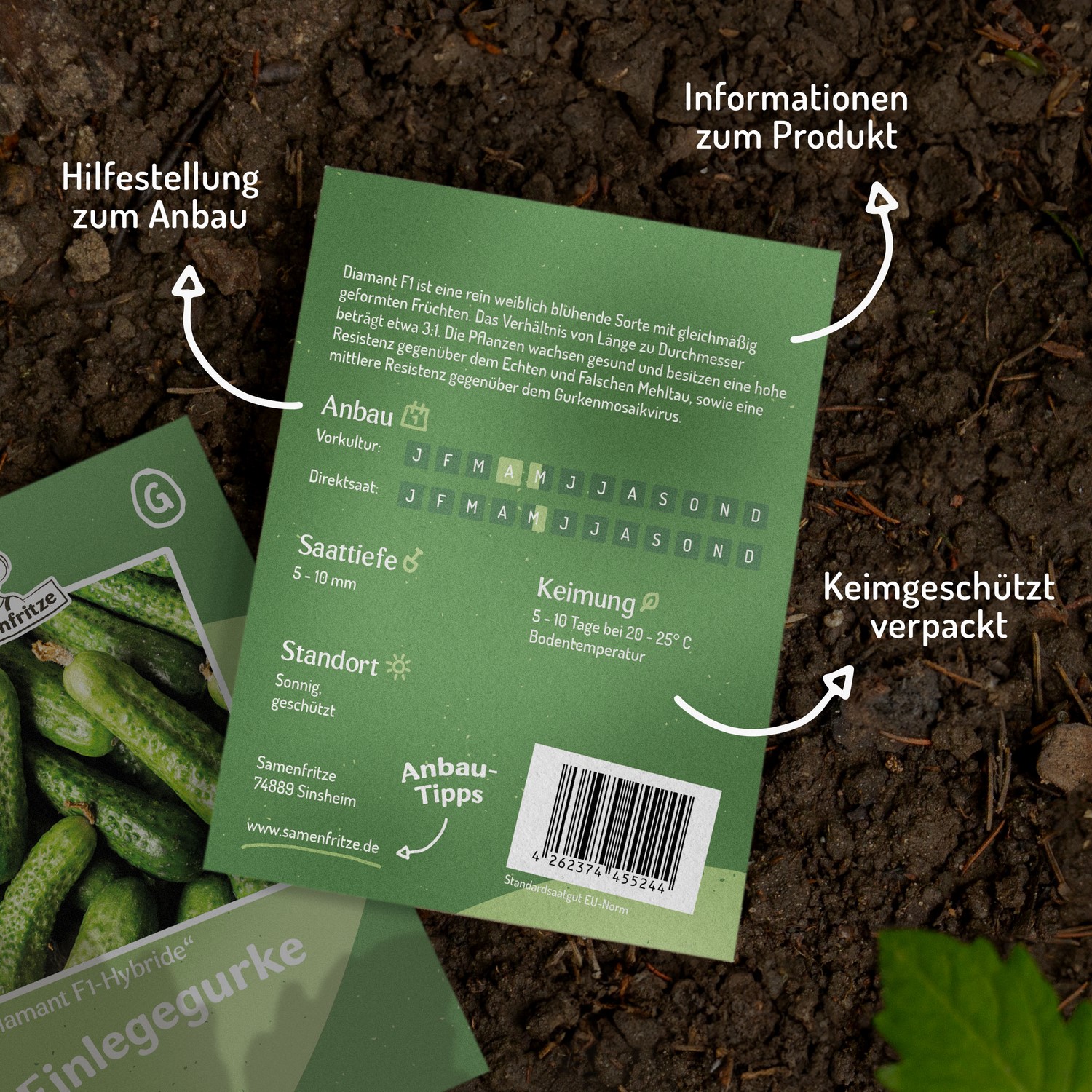 Einlegegurke Diamant F1 Samen
