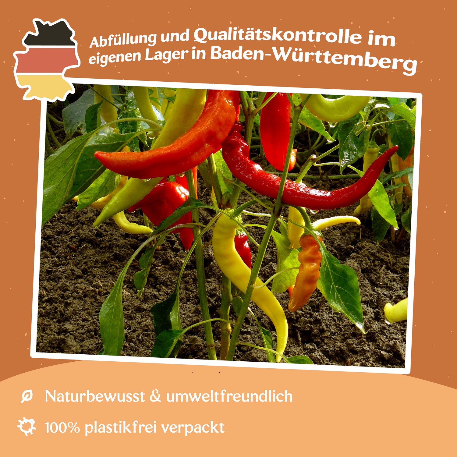 Paprika Harriet Samen
