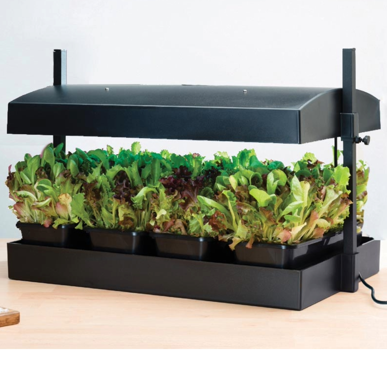 Küchengarten LED Weiß – 32-Watt LED Vollspektrum-Licht, Selbstbewässerungssystem, Perfekt für Kräuter, Salate & Zimmerpflanzen, 62 x 40 x 47 cm