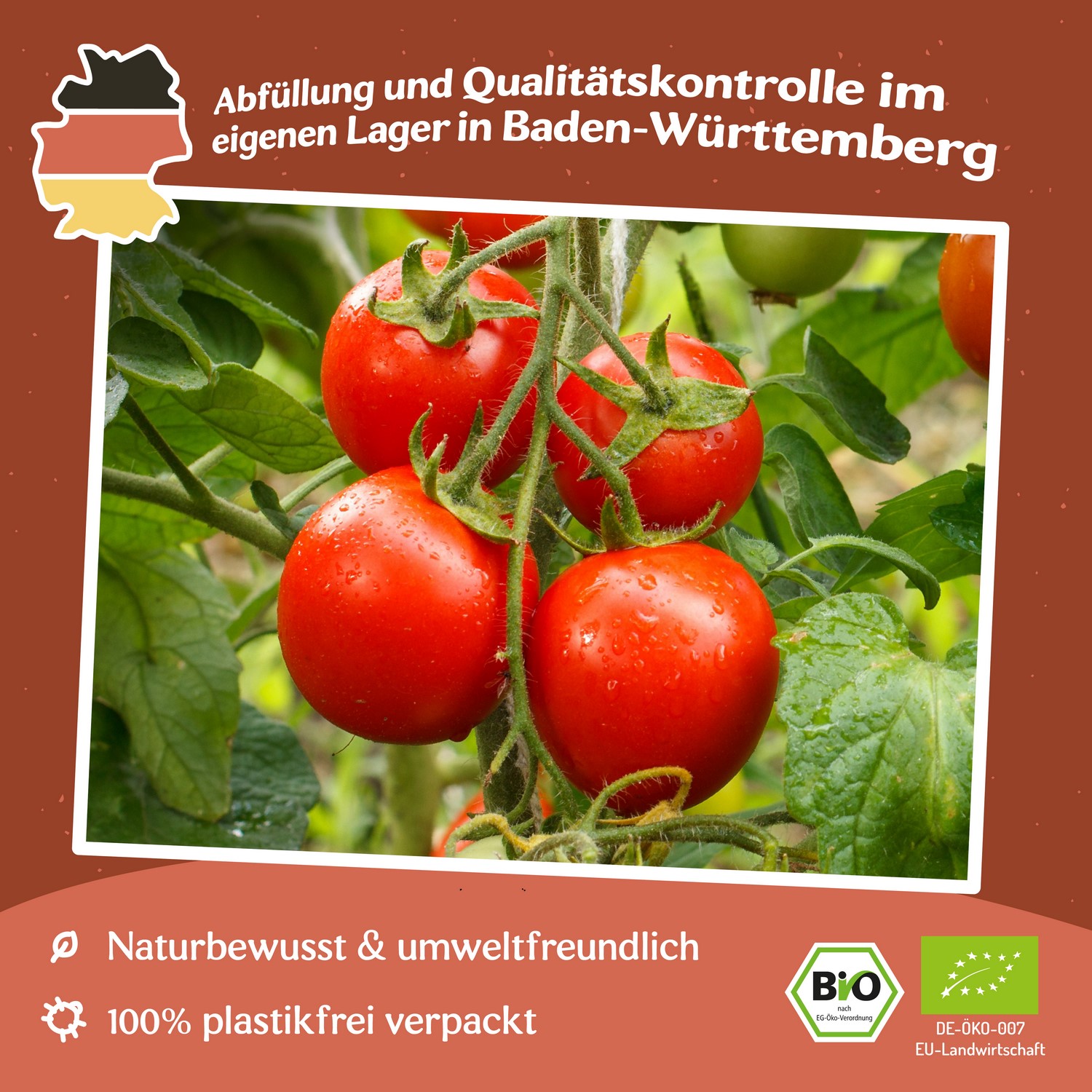 Siberian Bio-Tomatensamen