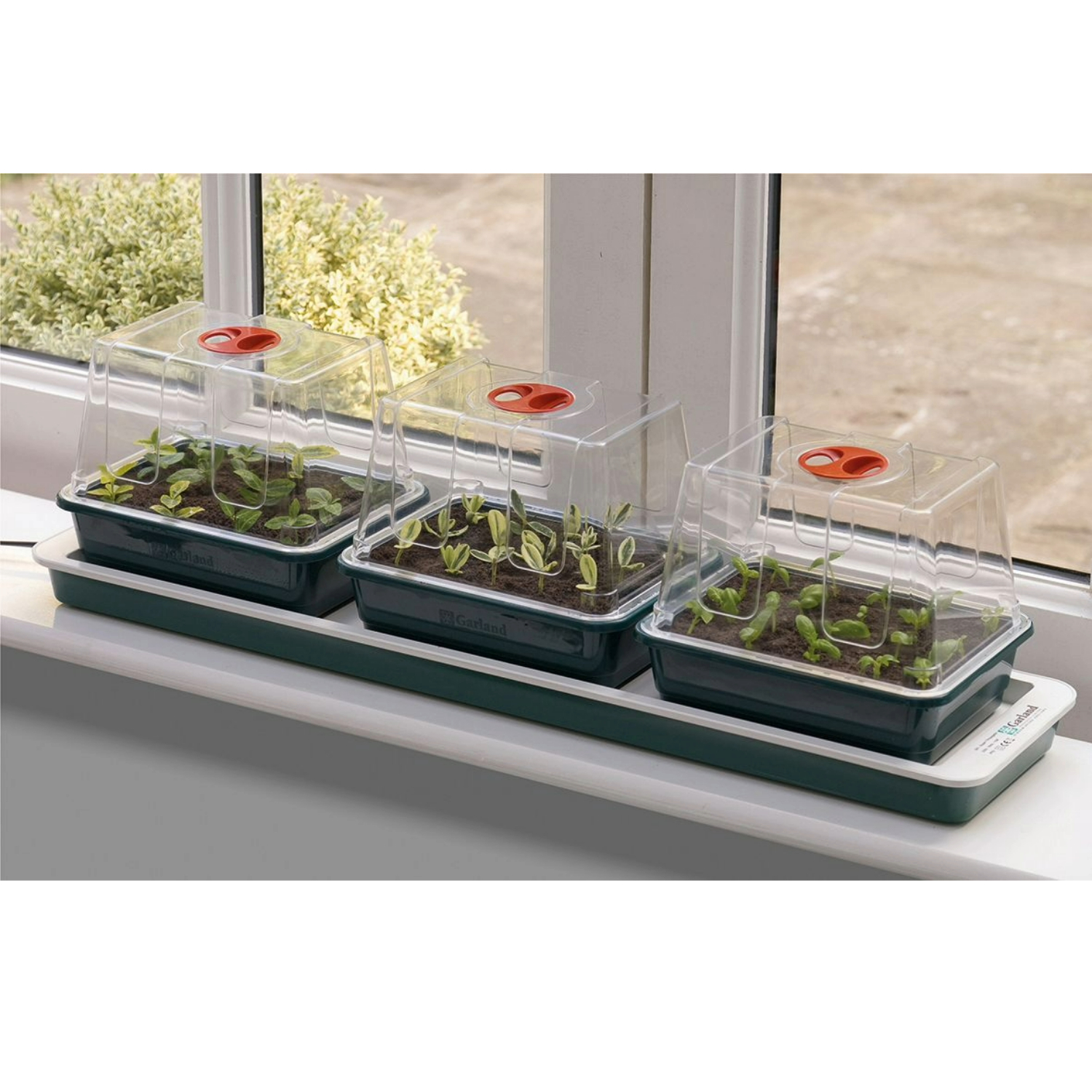 Elektrisches Zimmergewächshaus "Trio Top" – 13-Watt-Heizplatte, 3 hohe Anzuchtkammern, ideal für Stecklinge, Kräuter & Gemüseanzucht, 76 x 18,5 x 20,5 cm