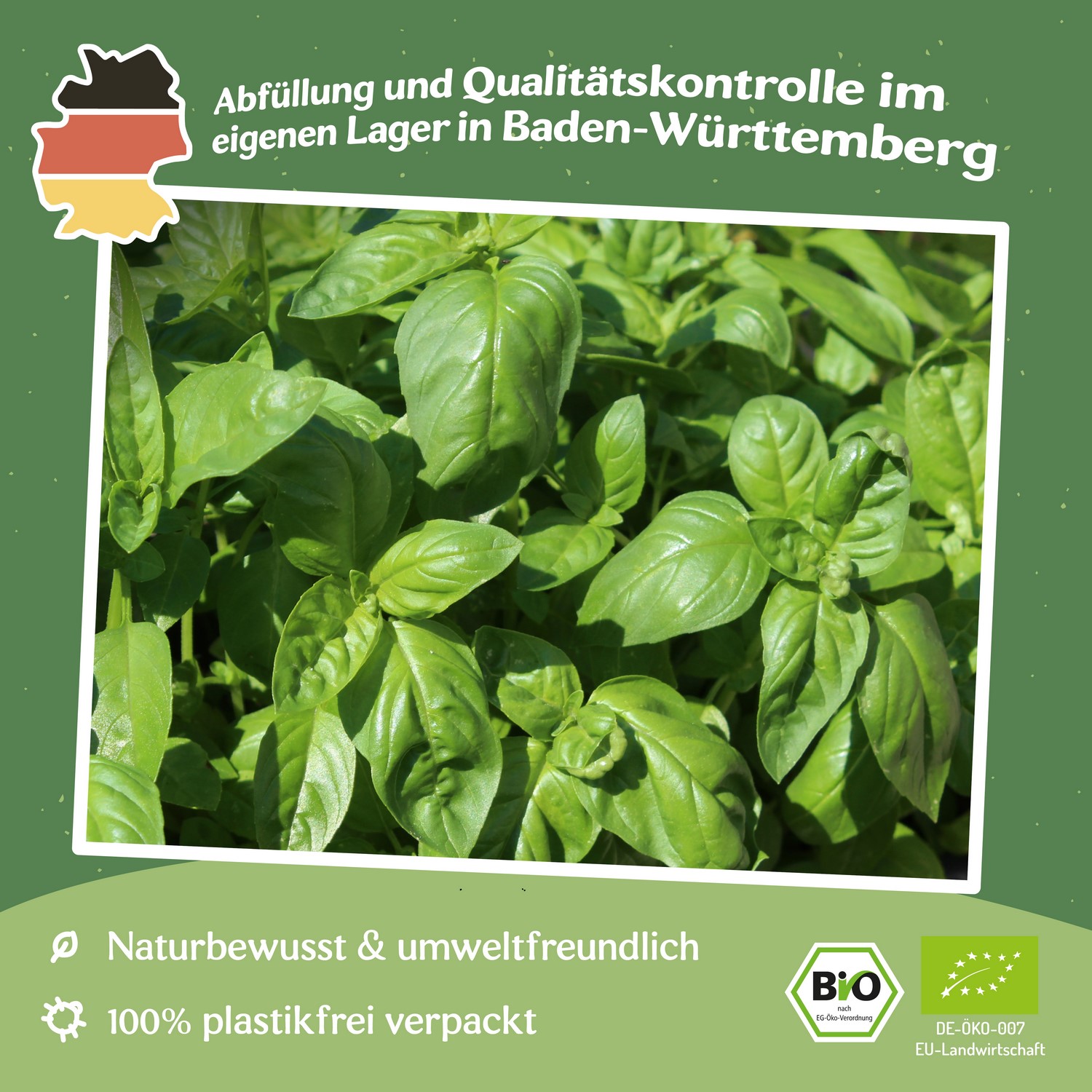 Bio-Schnittknoblauch Samen