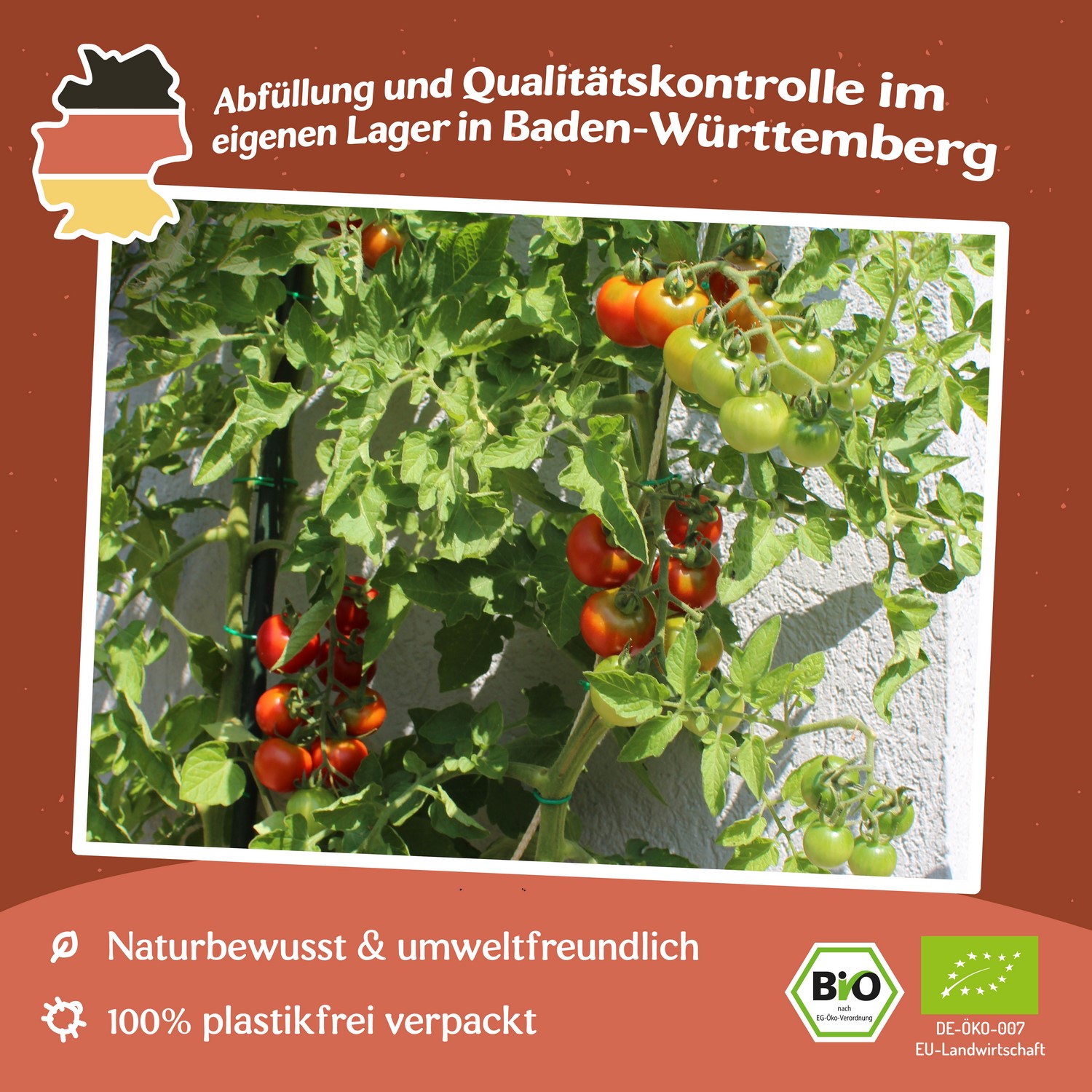 Resi Bio-Tomatensamen
