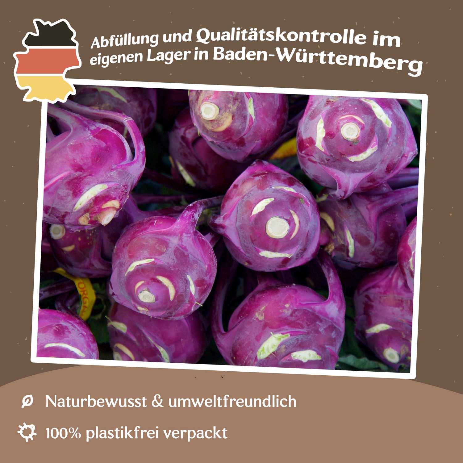 Bio-Kohlrabi Purple Vienna Samen 