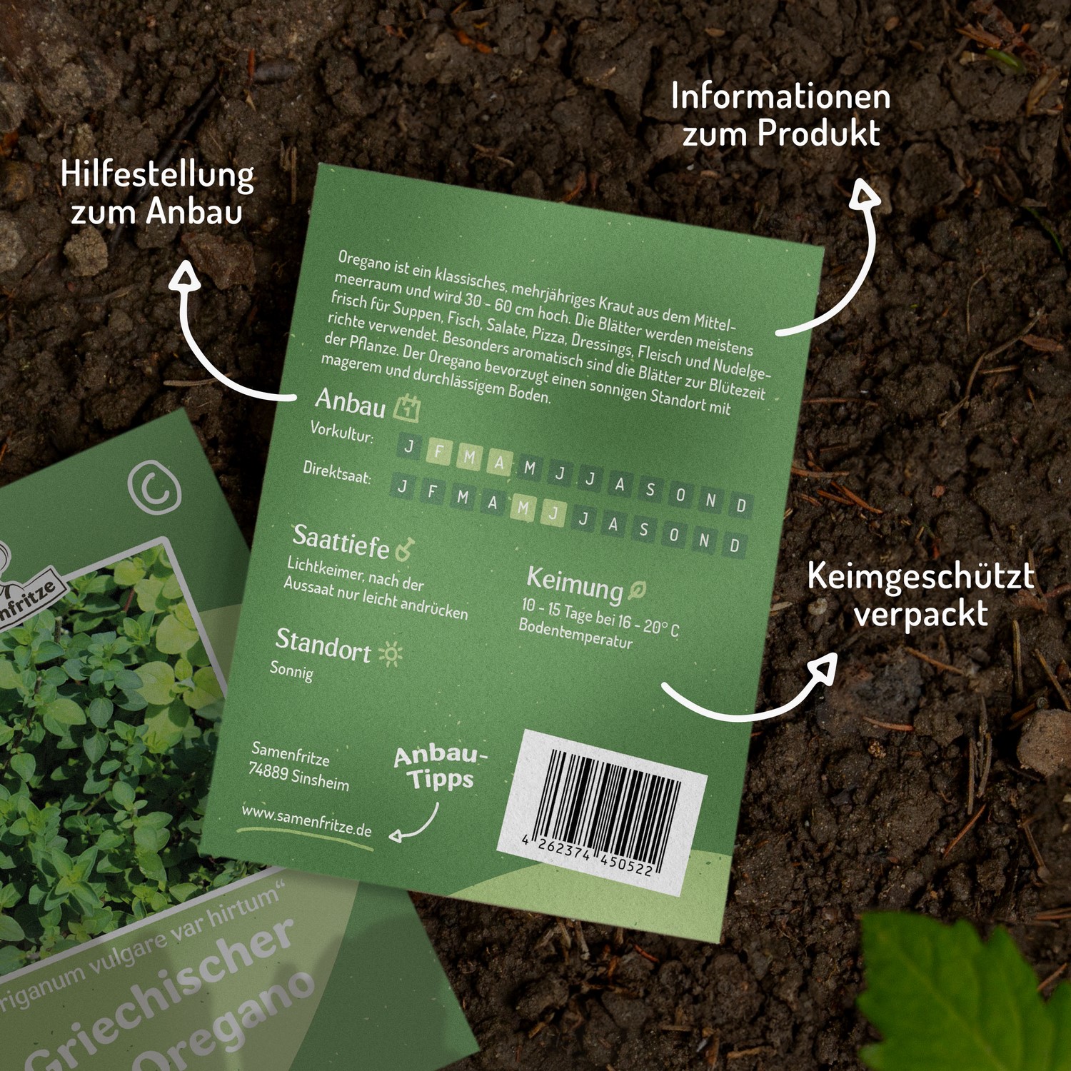 Griechischer Oregano Samen 