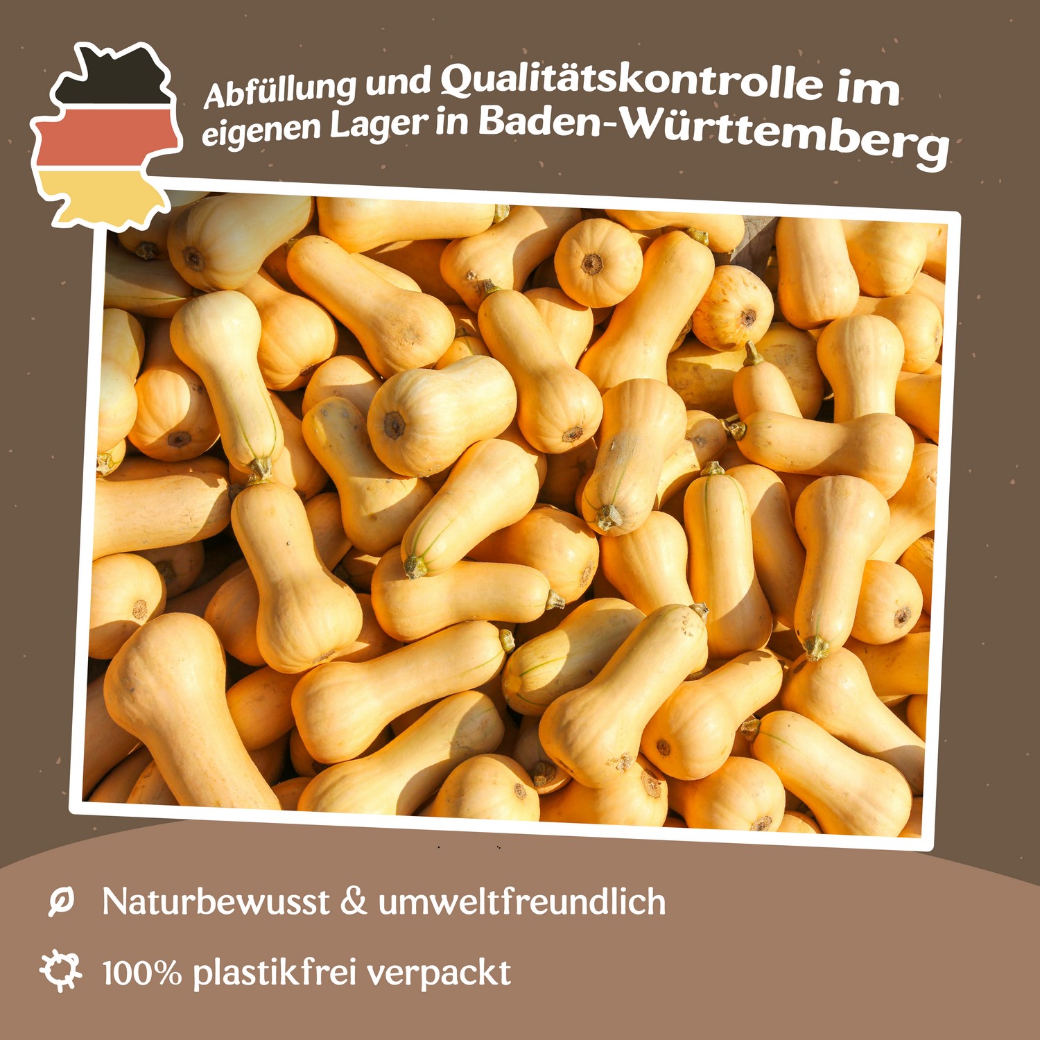 Kürbis Waltham Butternut Samen