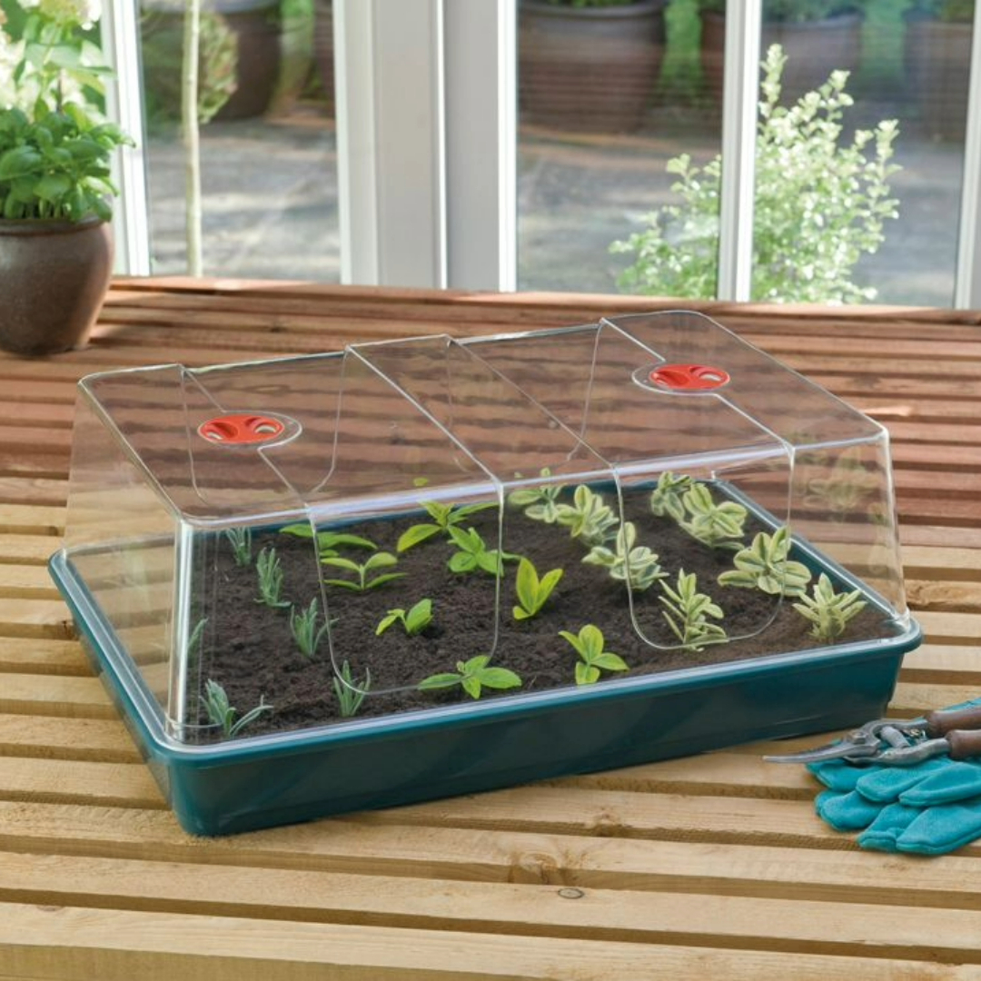 XL-Zimmergewächshaus 58 x 41 x 23 cm – stabiles Anzucht-Gewächshaus mit grüner Schale, Mini-Gewächshaus für Pflanzen, Kräuter & Gemüse, passend für Quickpot Anzuchtplatten