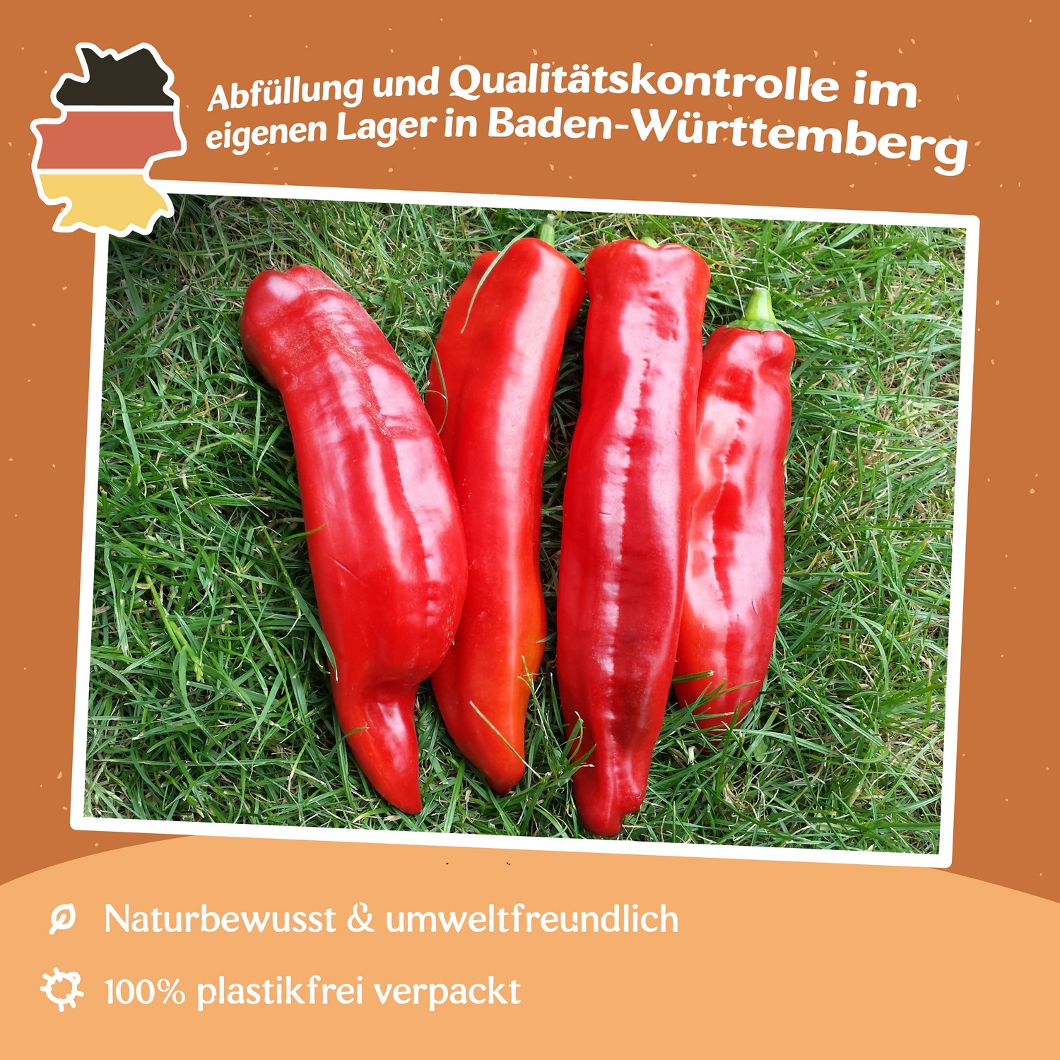 Paprika Marconi rot Samen