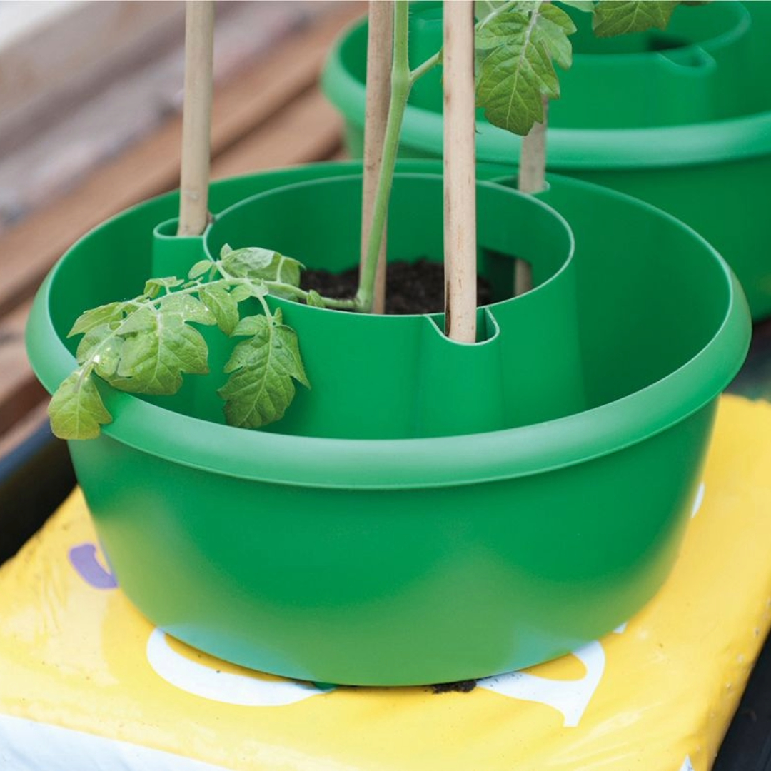 Plant Halos 3er-Set – Wasserspeicher & Stützhilfe für Tomaten, Paprika & Bohnen, 3,1-Liter-Wasserspeicher, aus 100 % recyceltem Kunststoff