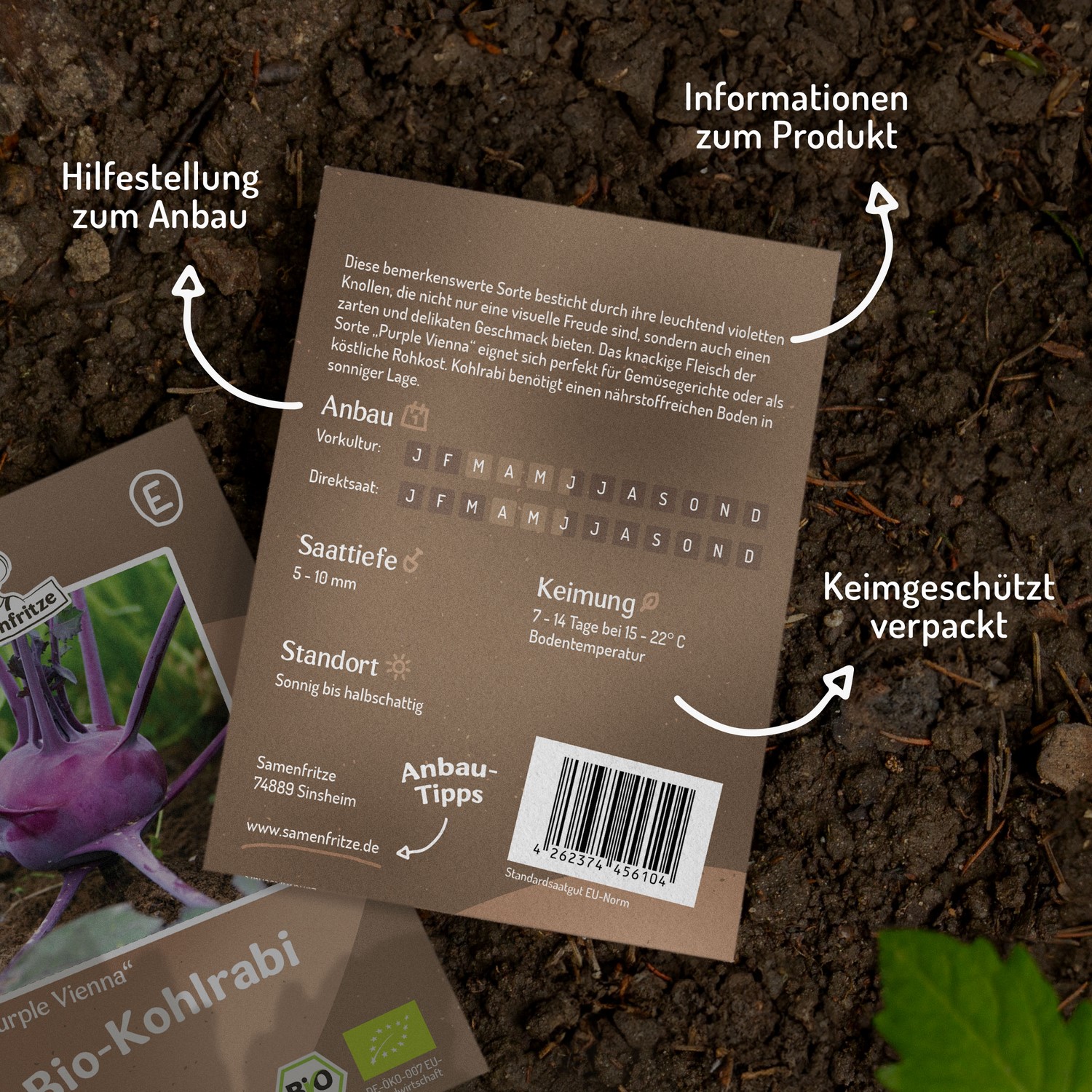 Bio-Kohlrabi Purple Vienna Samen 