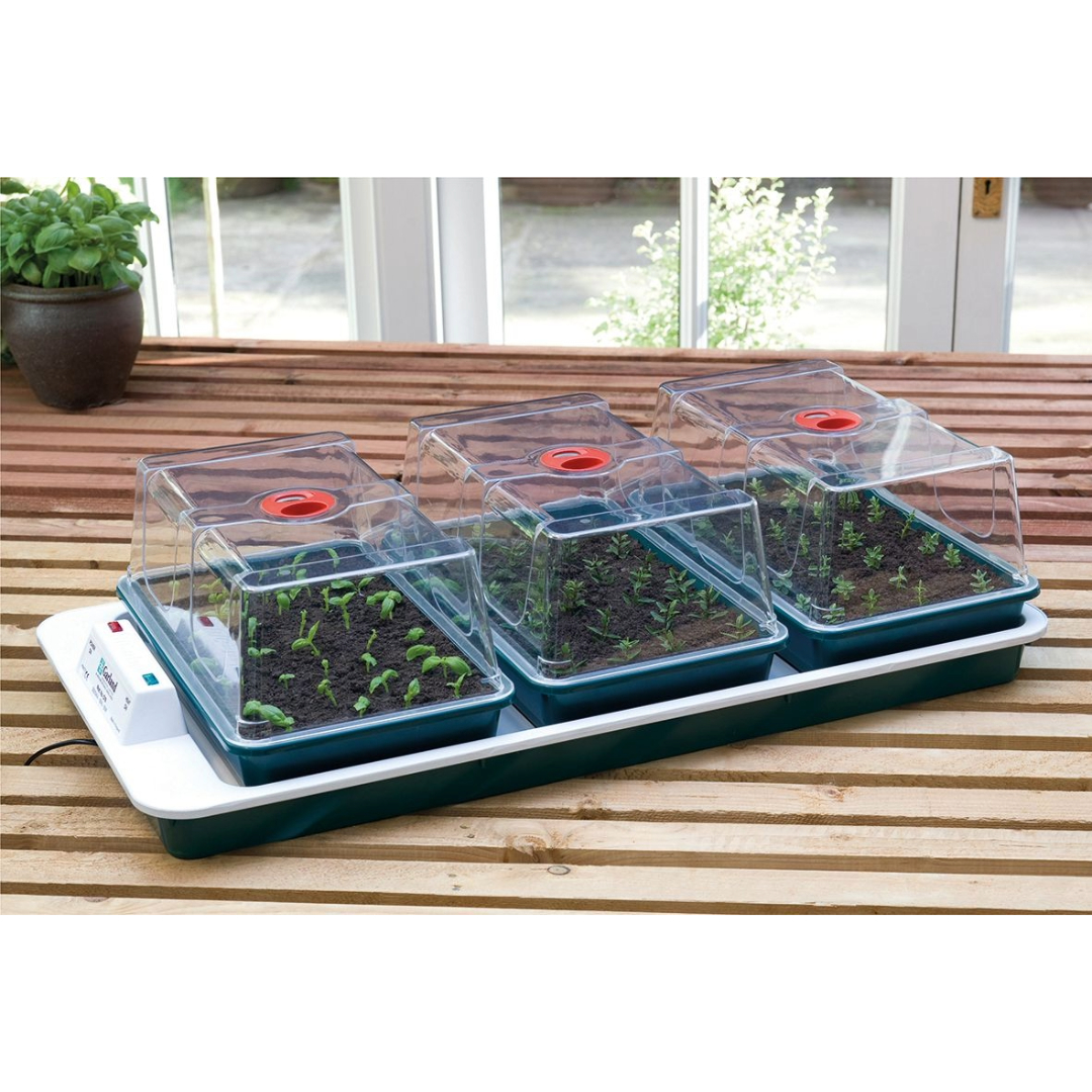 Elektrisches Zimmergewächshaus "Big 3" – 50-Watt-Heizsockel, 3 Hohe Anzuchthäuser, Thermostatgesteuert, Perfekt für Samen & Stecklinge, 80,5 x 41 x 20 cm