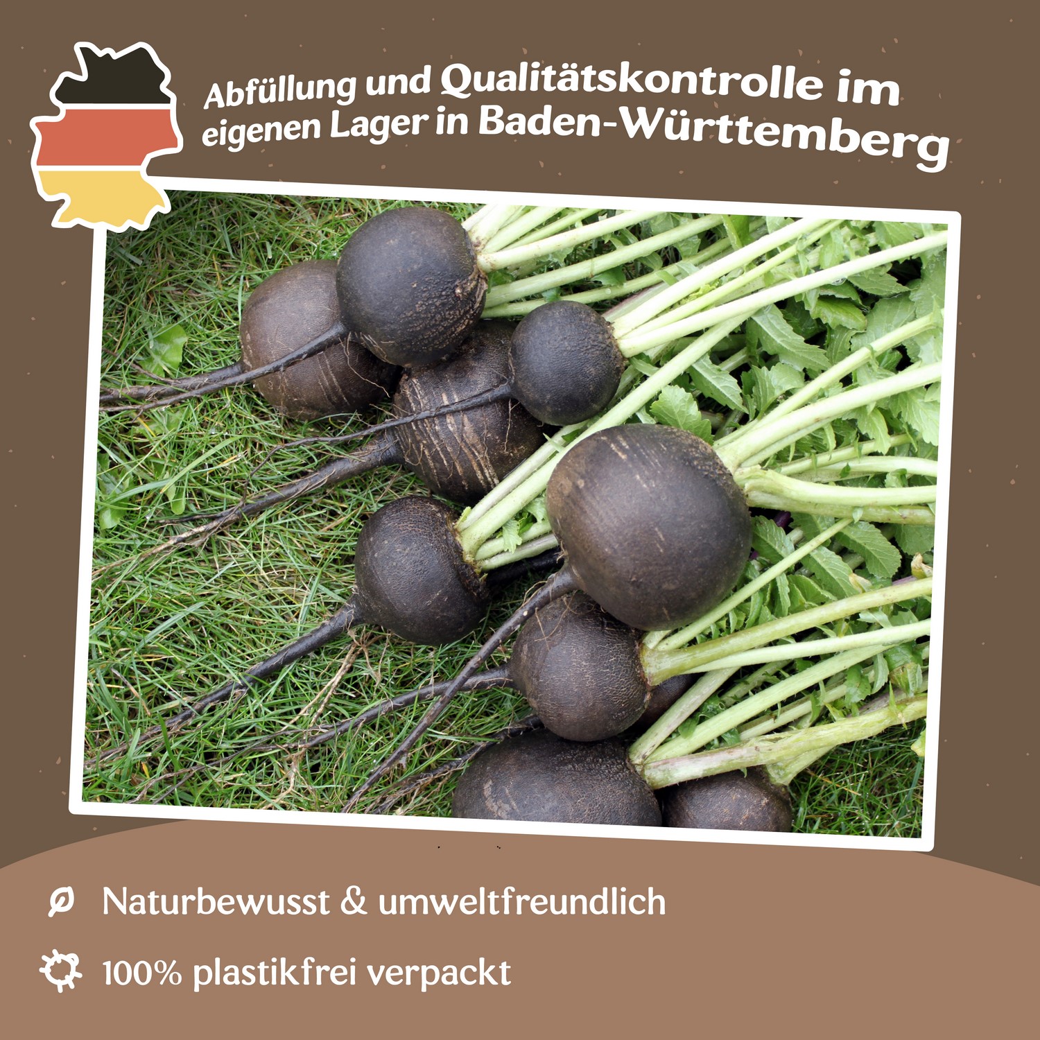 MHD 06/25 Rettich Schwarzer Runder Samen