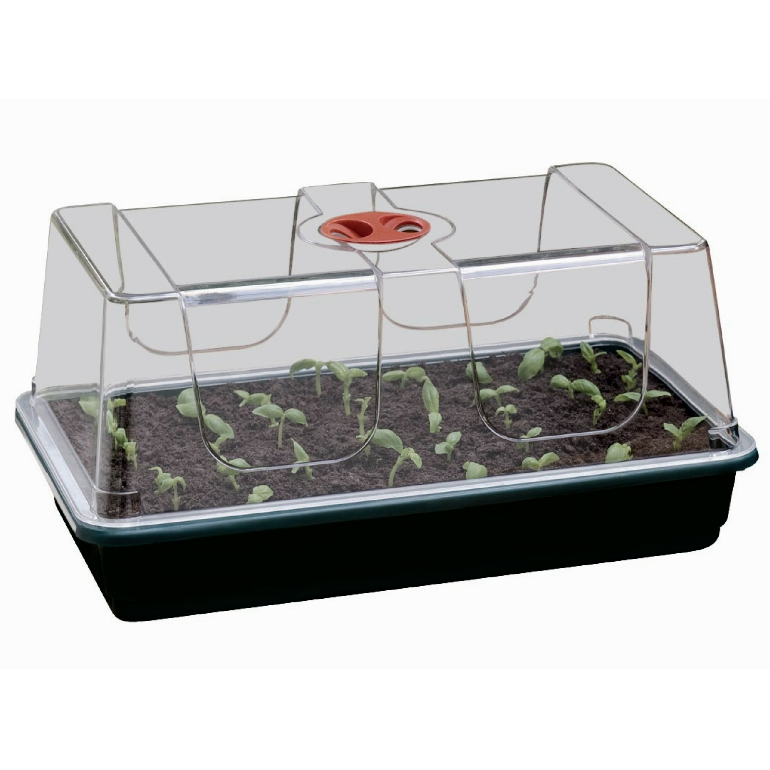Zimmergewächshaus 38 x 23 x 18 cm – stabiles Mini-Gewächshaus mit schwarzer Schale, nachhaltiger Anzuchtkasten für Pflanzen & Kräuter, optimale Keimbedingungen