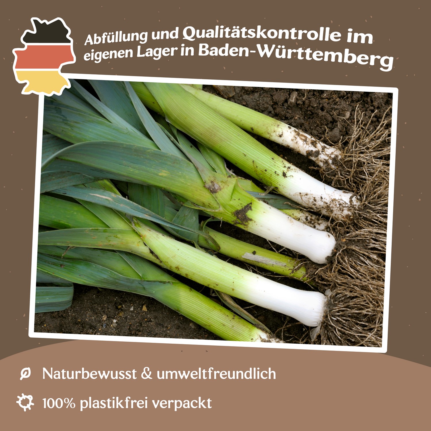 Lauch Herbstriesen 2 Hannibal Samen 
