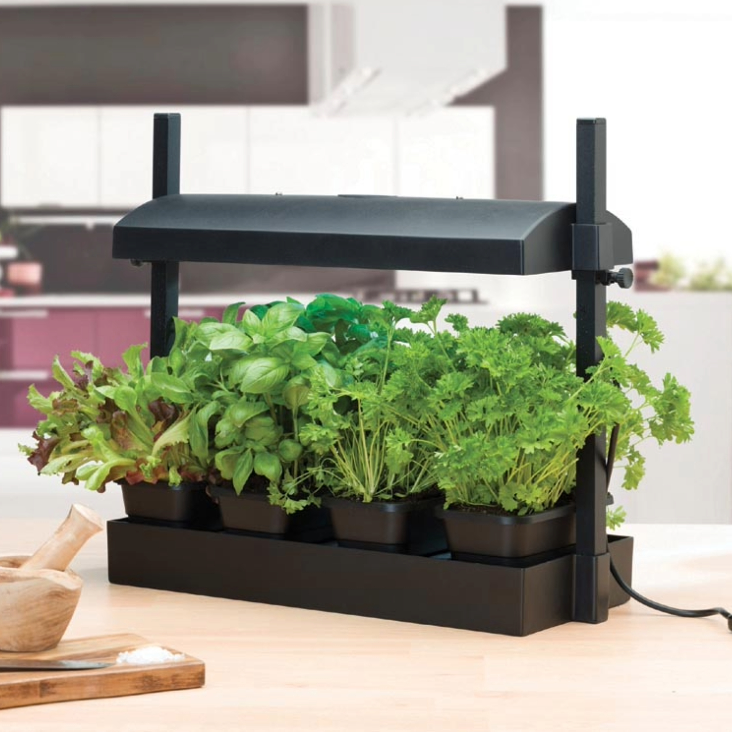 Micro Küchengarten LED Schwarz – 8-Watt LED Vollspektrum-Licht, Selbstbewässerungssystem, Perfekt für Kräuter, Salate & Zimmerpflanzen, 50 x 20 x 45 cm