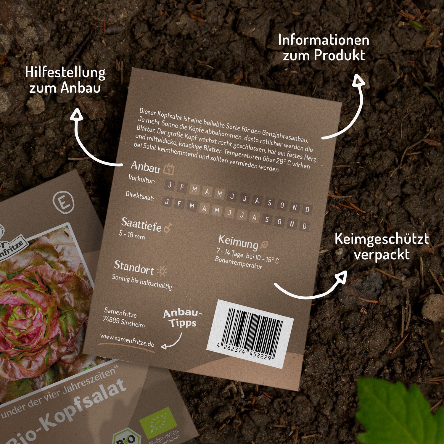 Bio-Kopfsalat Wunder der vier Jahreszeiten Samen