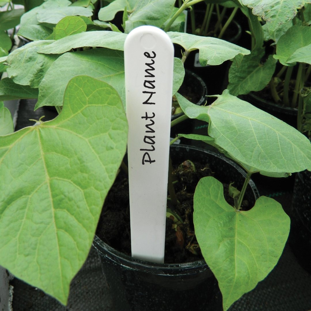 10 cm Pflanzetiketten – 25 Stück, robuste Pflanzenmarker für Garten & Gewächshaus, ideal zum Stecken oder Binden, langlebig & beschriftbar